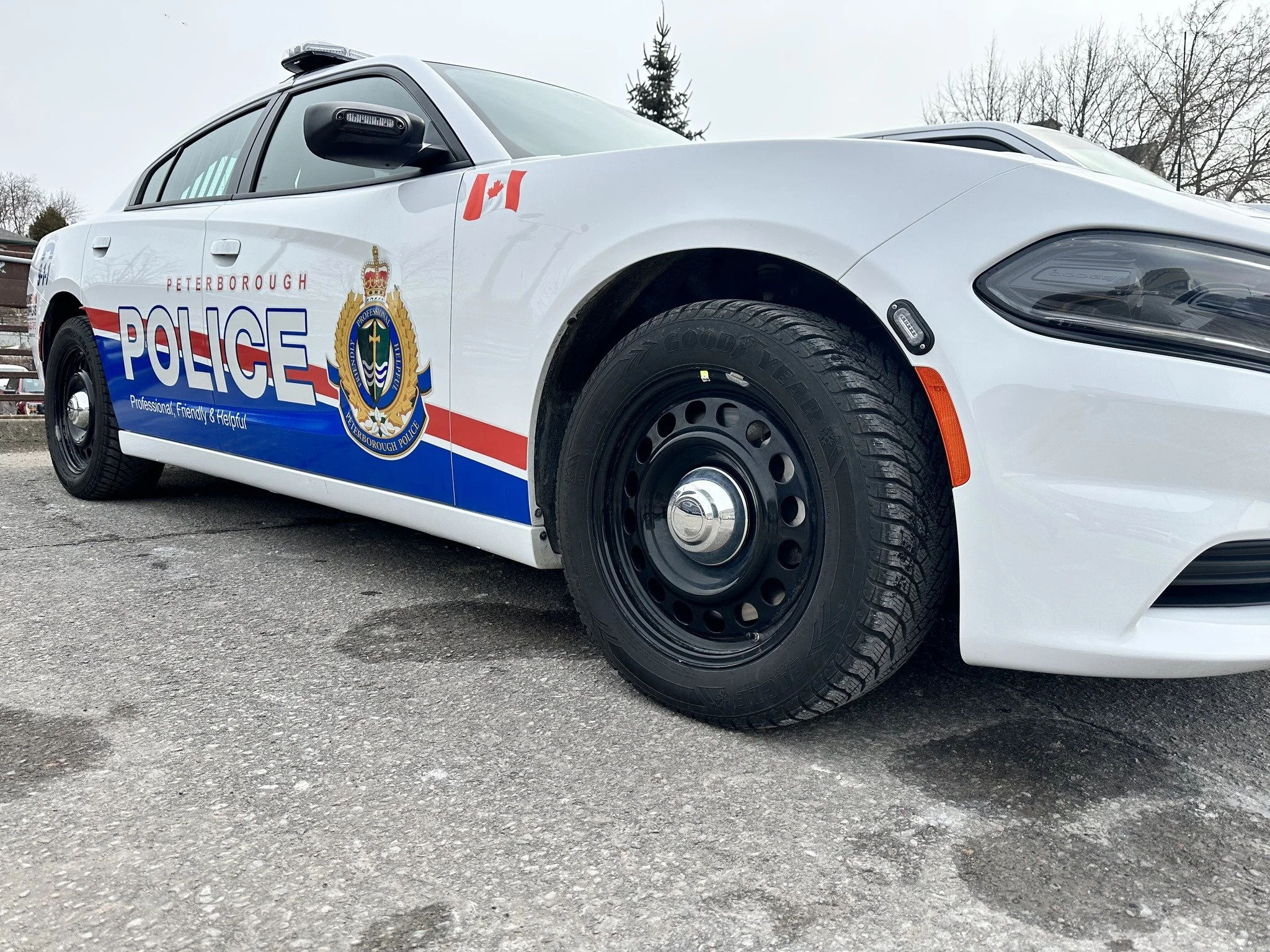 Two Teenage Girls Charged With Assault After Spraying Store Employee With Air Freshener