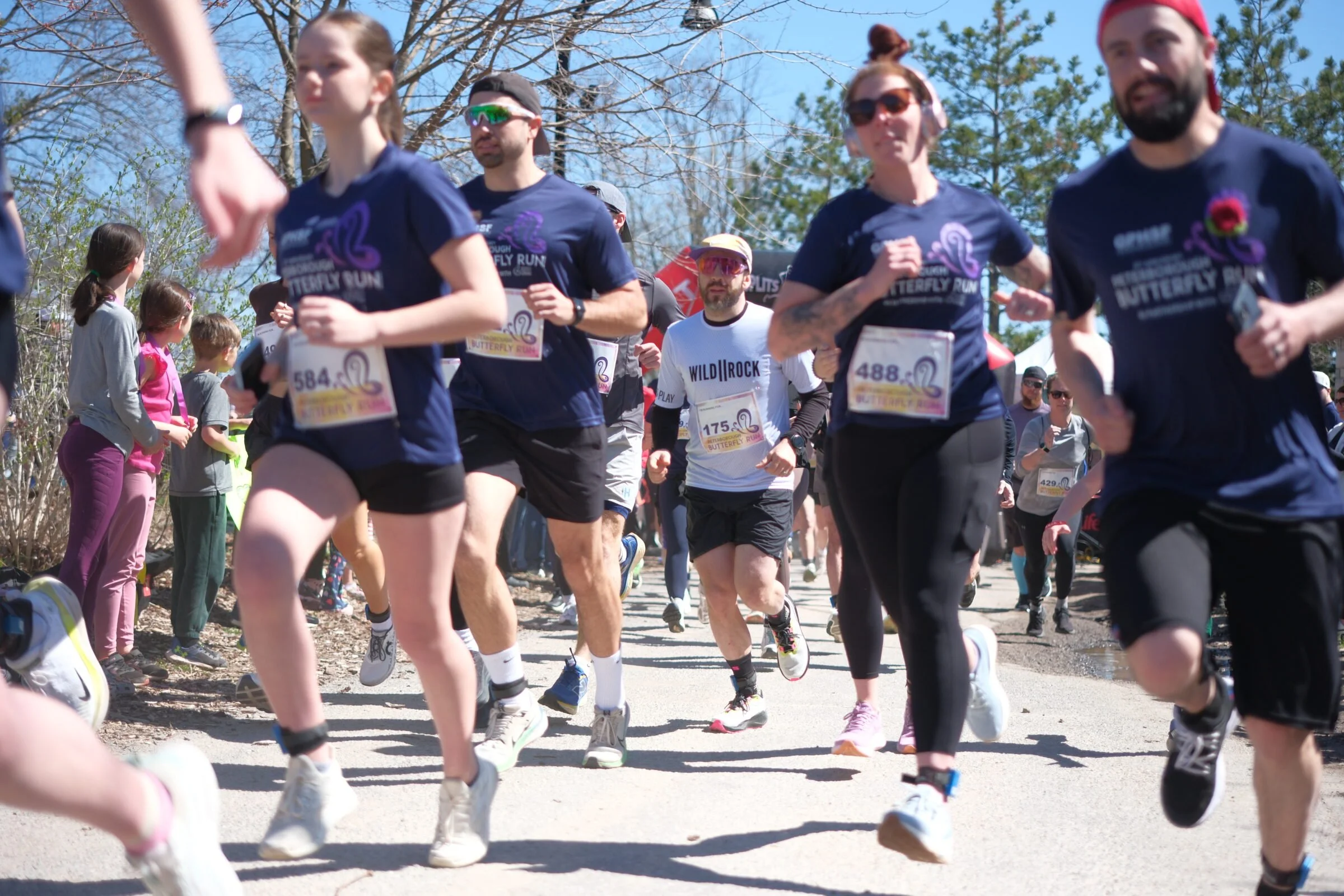 Peterborough Butterfly Run Sets Records On 10th Anniversary