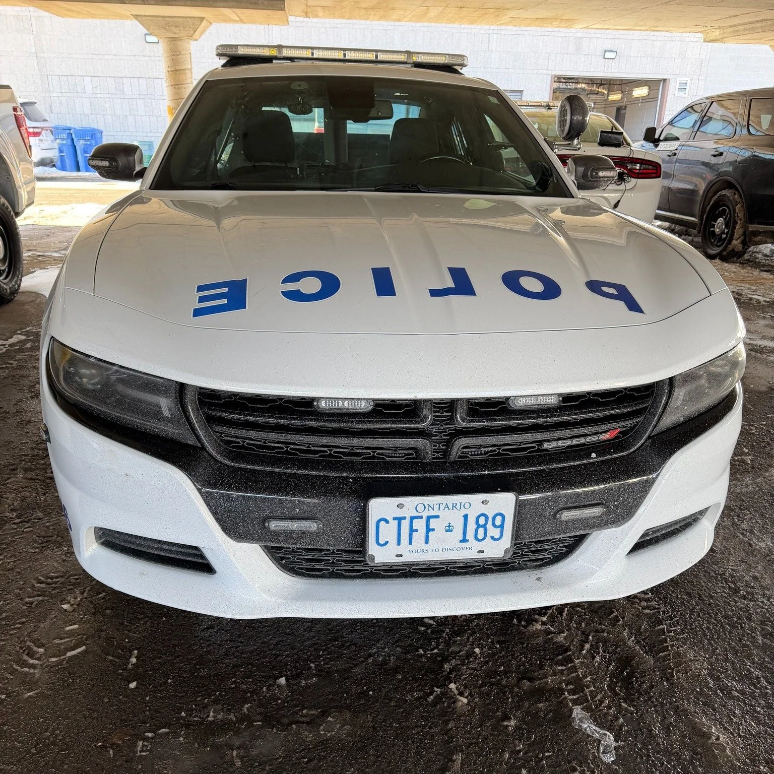 Two People Charged After Committing Sexual Acts On a Bench