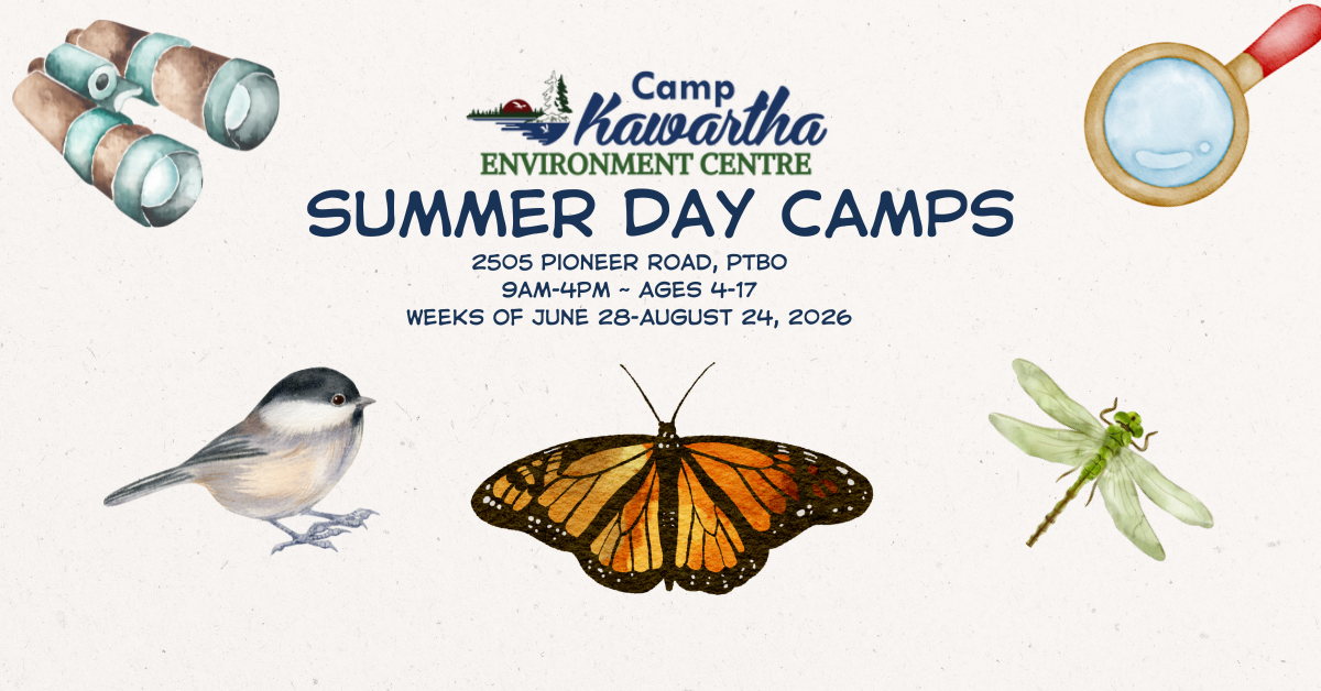 Camp Kawartha Environment Centre Summer Day Camp (June 29)