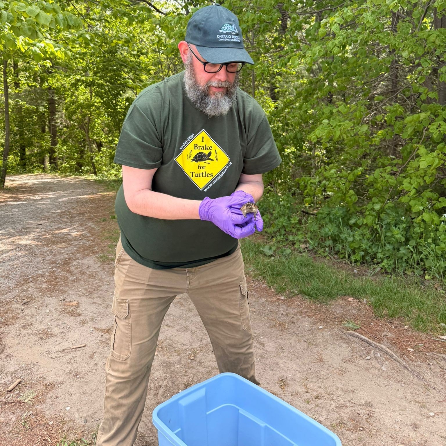 Ontario Turtle Conservation Centre Announces New Executive Director in Strategic Leadership Expansion