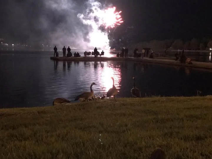 City of Peterborough's Canada Day Fireworks Rescheduled For Aug. 1