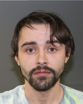 Trent Lakes Faces Multiple Charges Including Luring a Teenage Girl