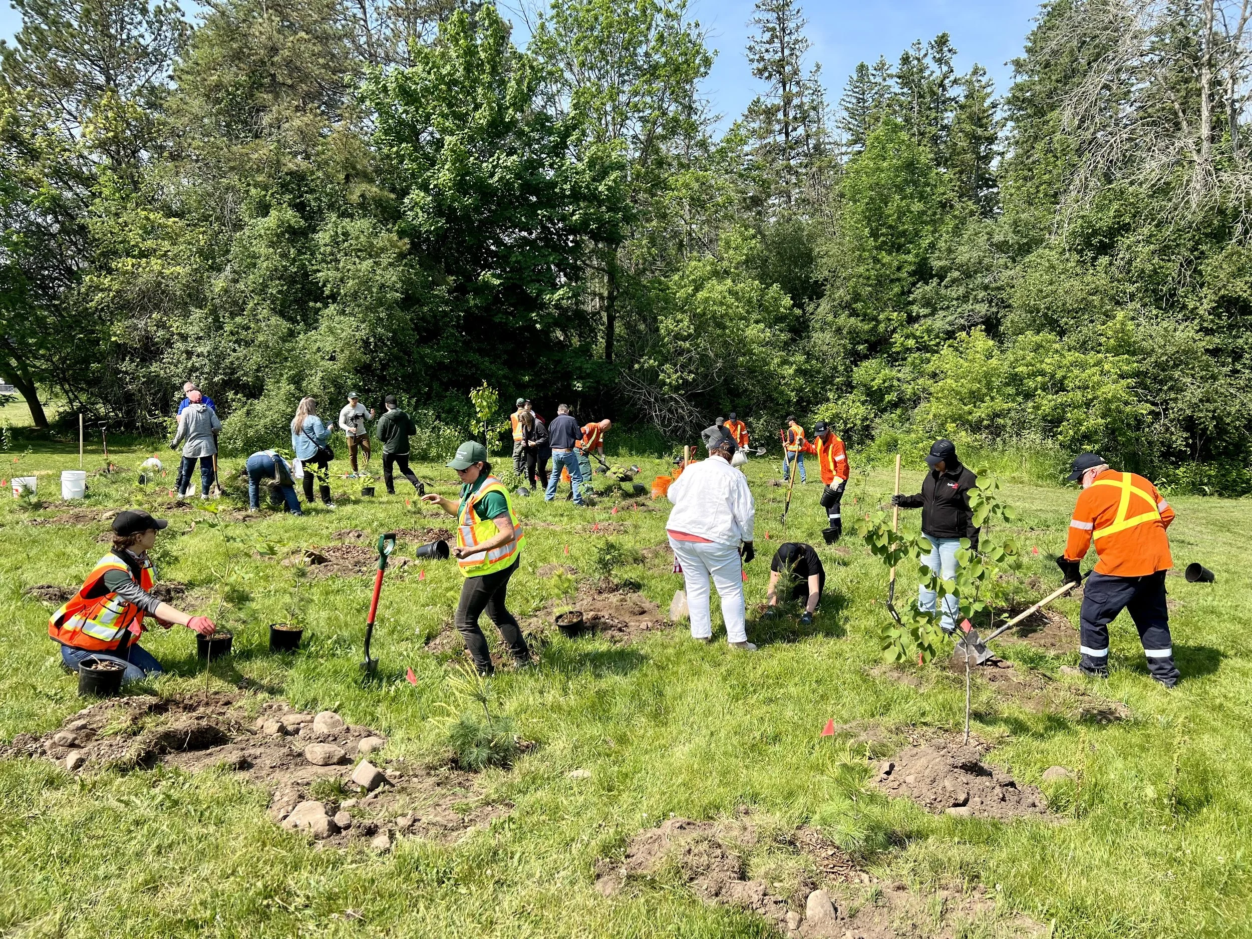 Volunteers Needed to Plant 500 Native Trees at Heritage Park This Fall