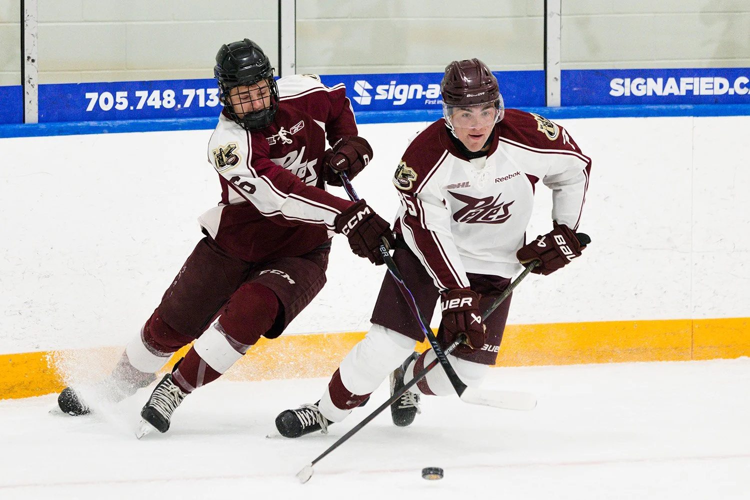 Peterborough Petes Reassign 20 Players Following Second Day of Training Camp