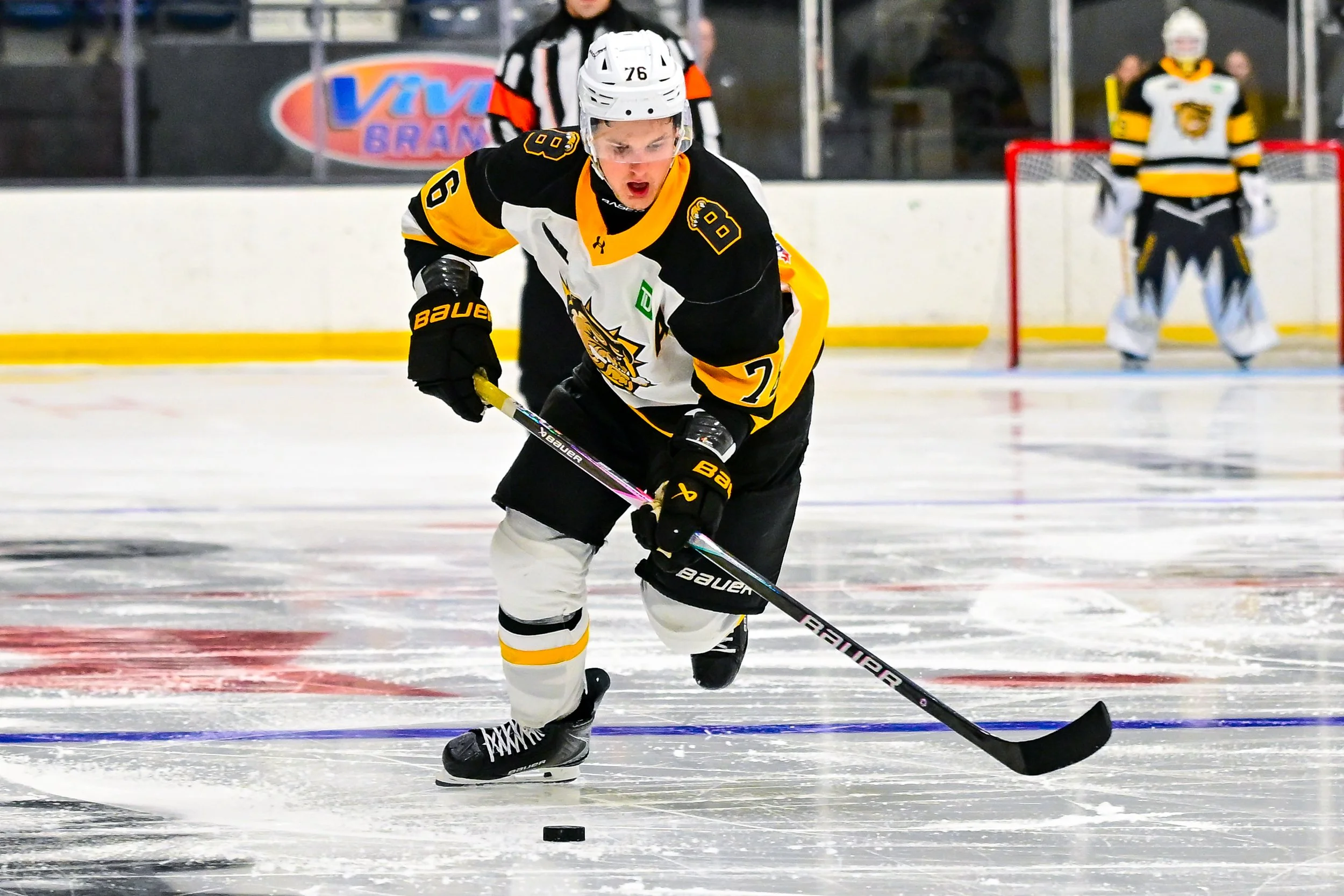Peterborough Petes Acquire Defenseman From Brantford Bulldog For Two Draft Picks