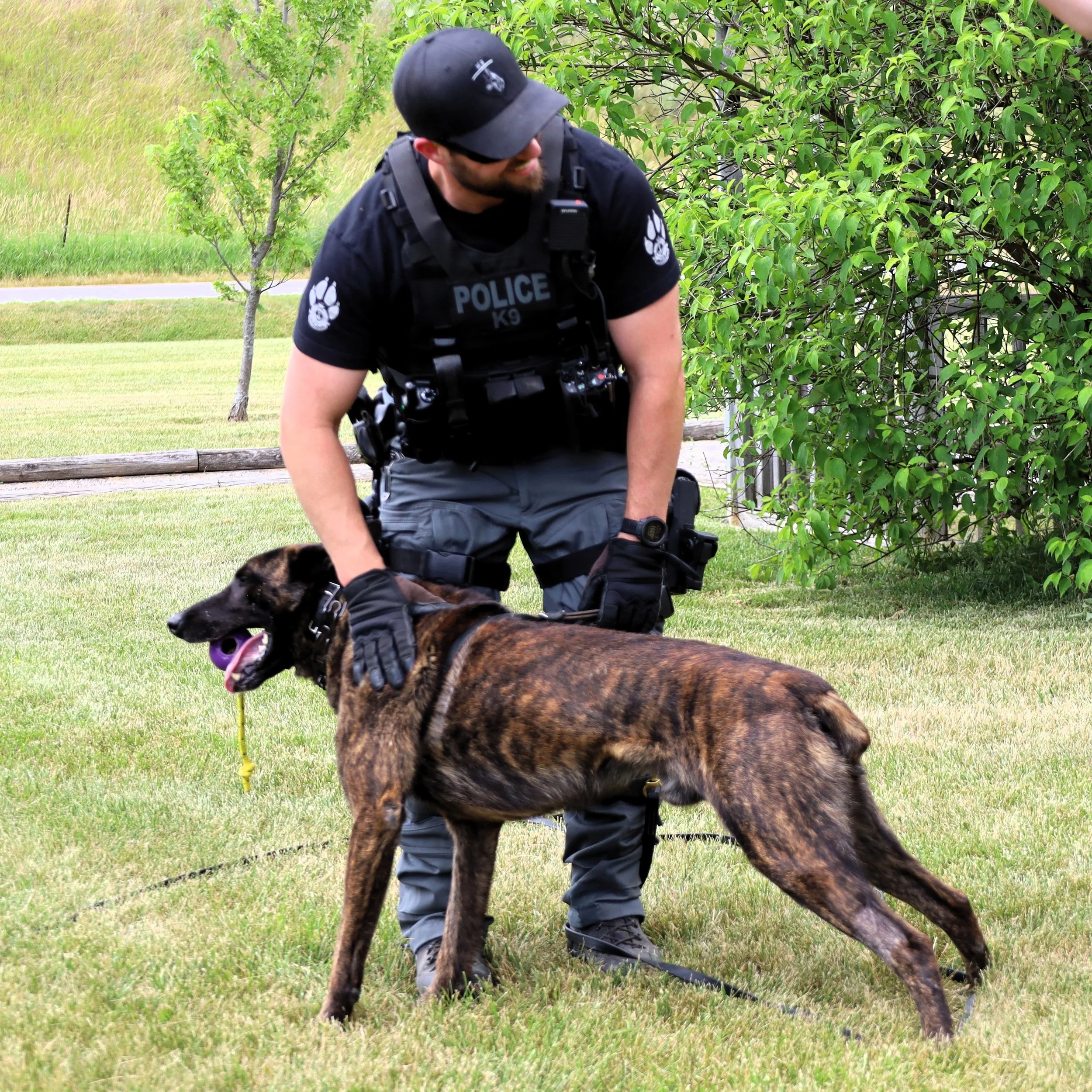 Peterborough Police Service Mourns Loss Of Beloved Service Dog Gryphon