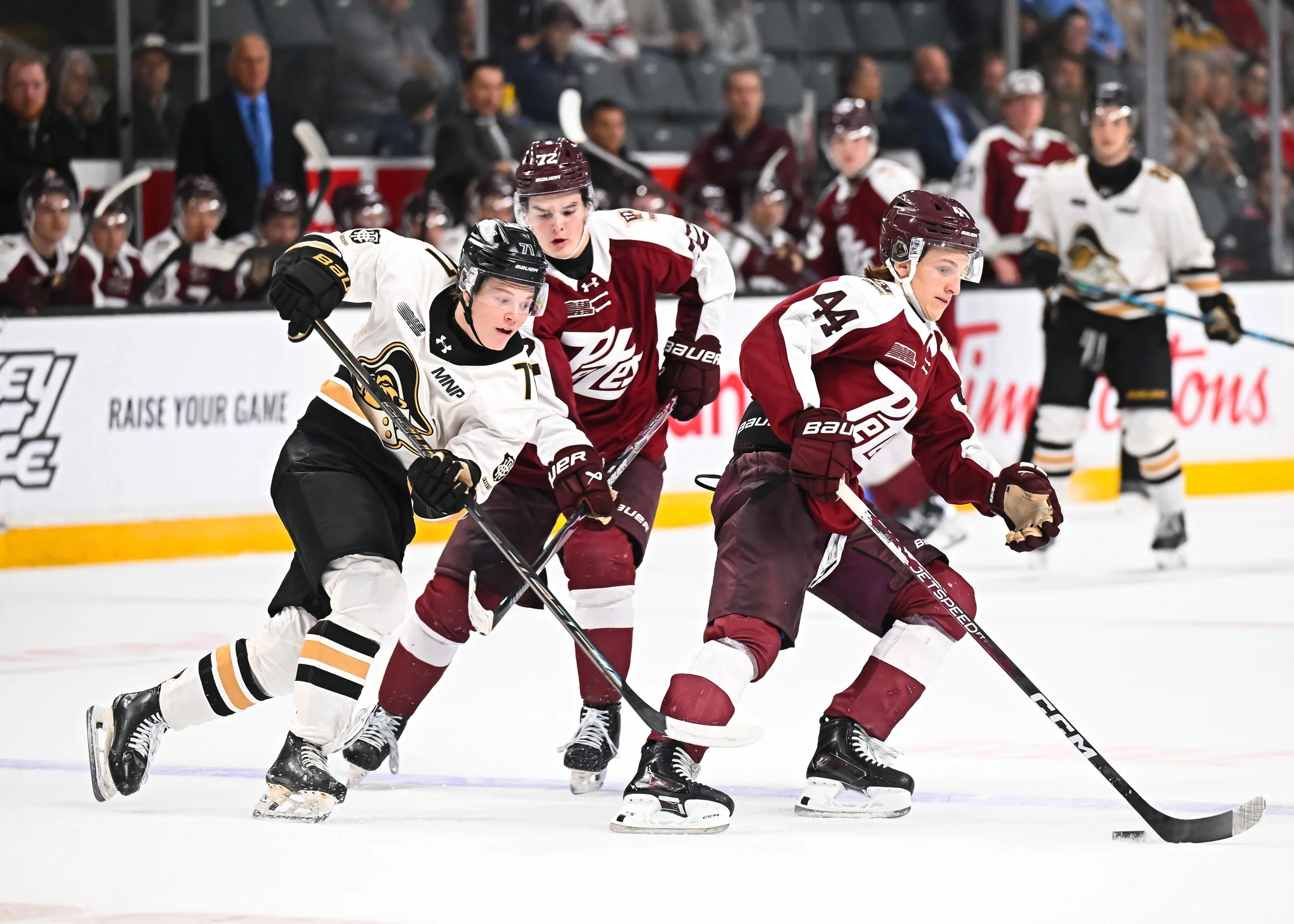 Petes Rally Falls Short As Kingston Holds On For 5-3 Win