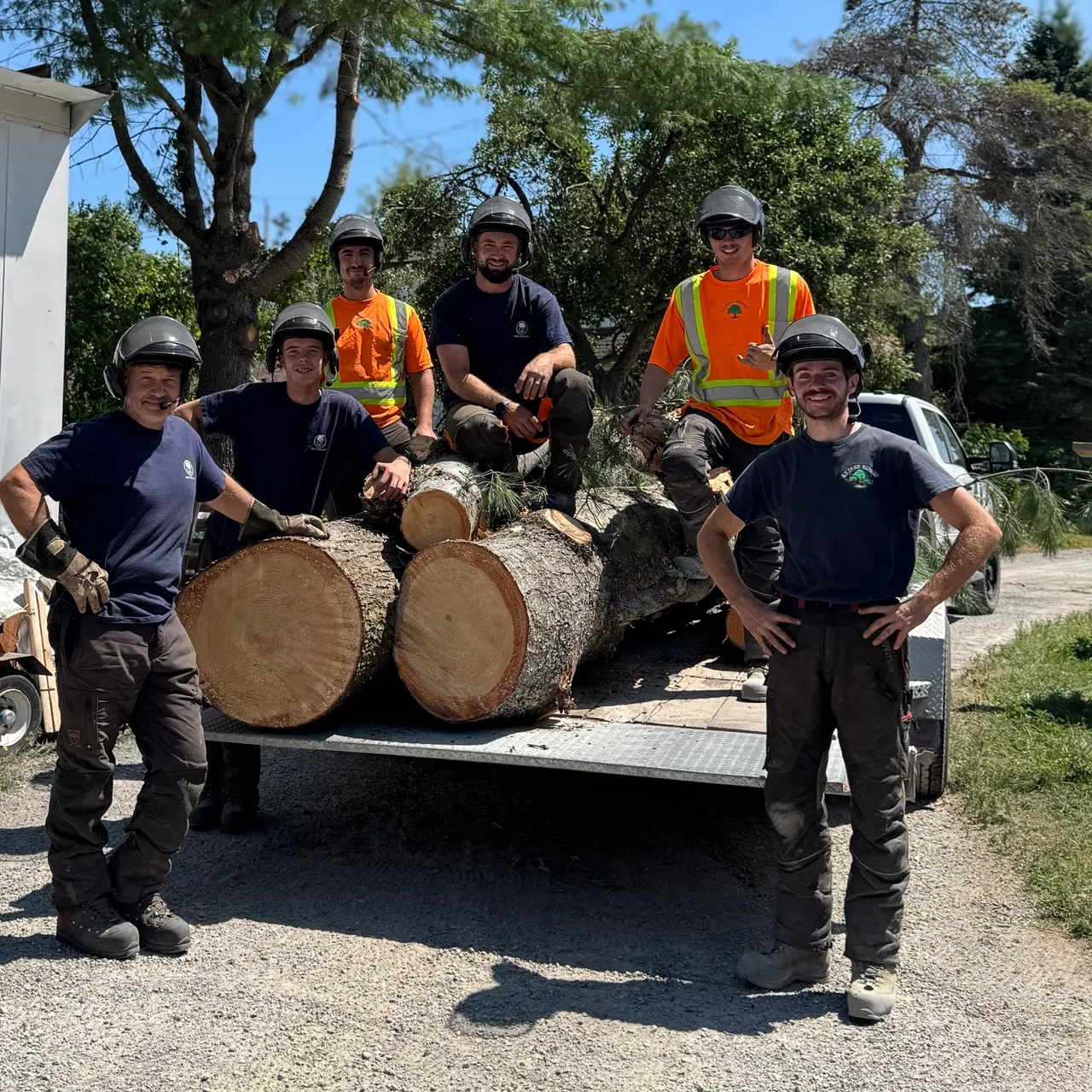 Check Out The Business Beat This Week Featuring CT Tree Services, DKI-CRCS and Business Excellence Awards Gala
