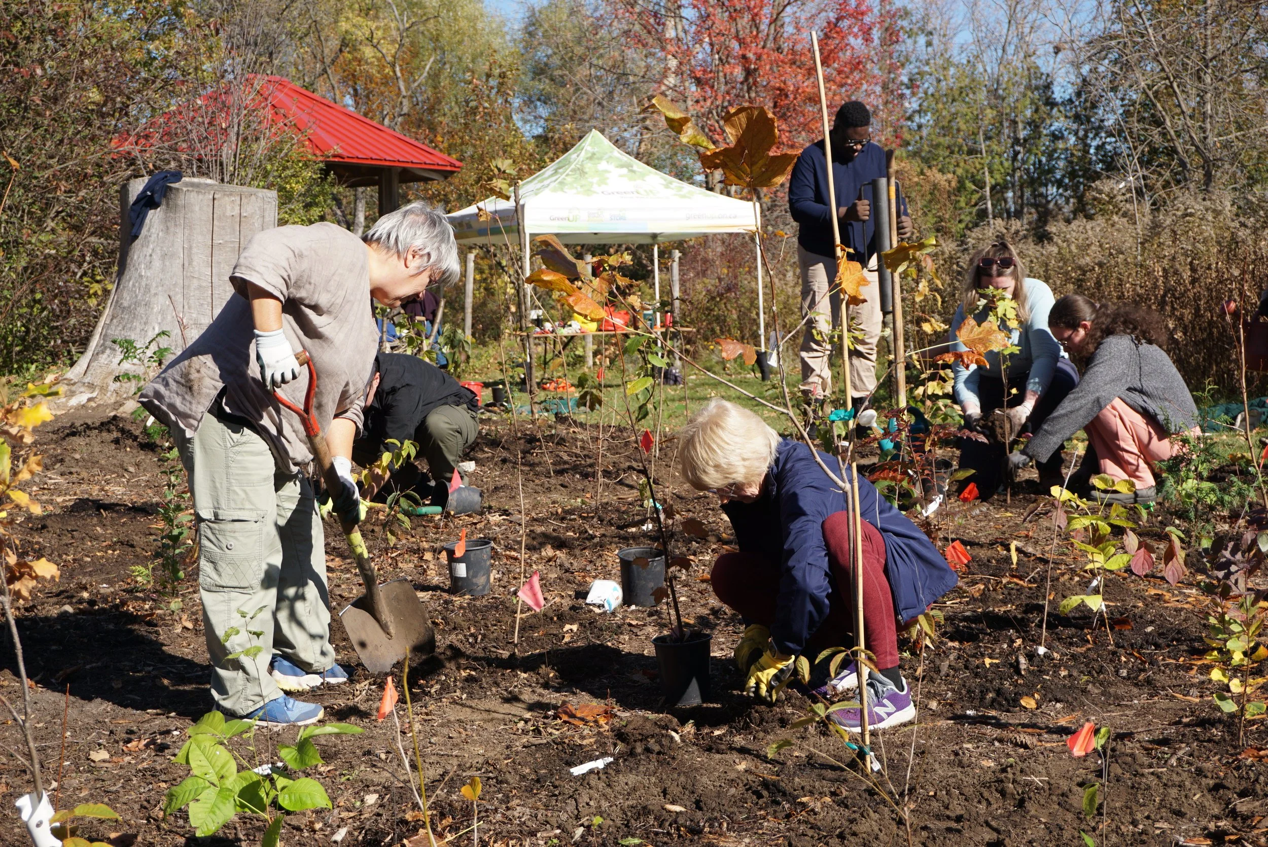 GreenUp Plants Over 400 Trees and Shrubs In Little Forest At Their Ecology Park 