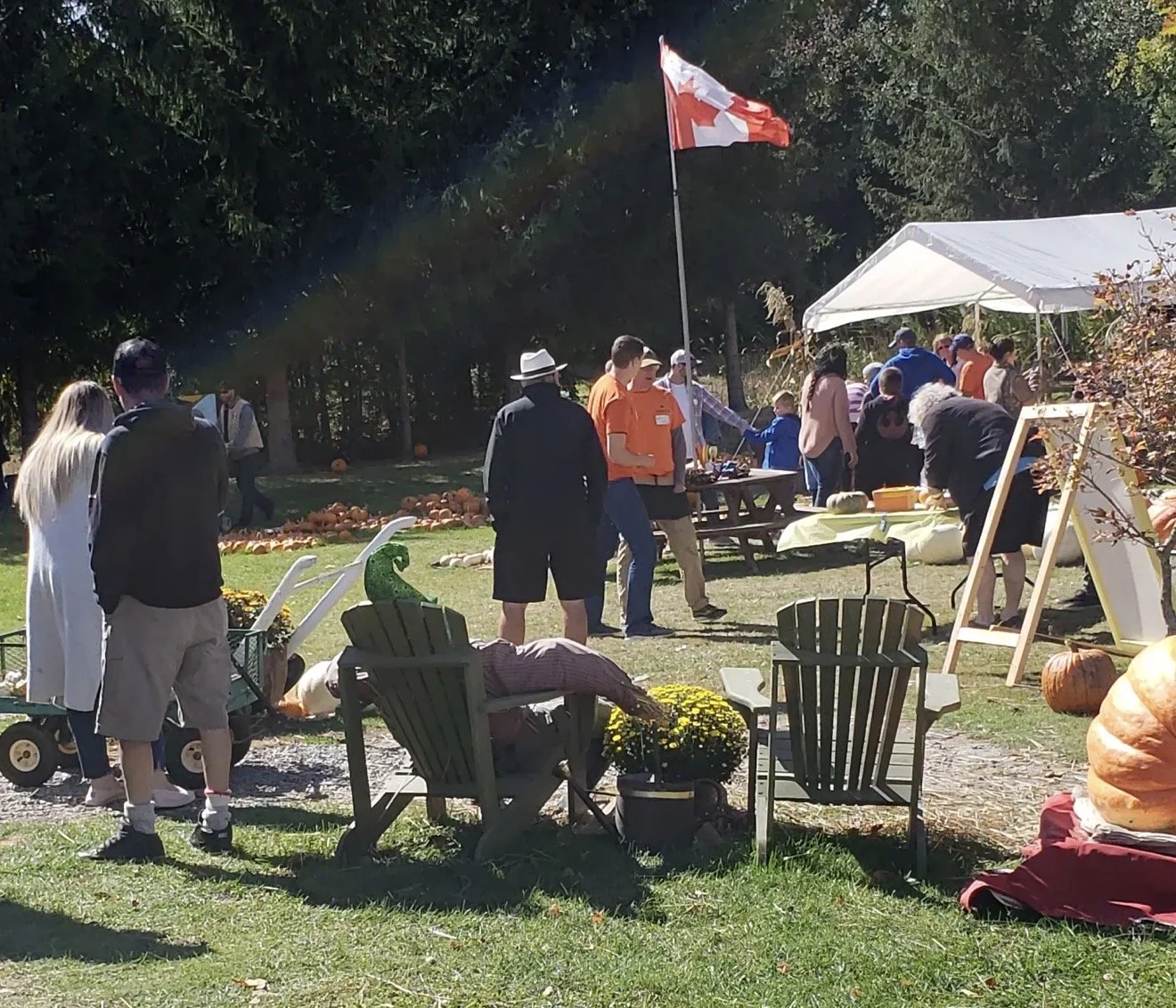 Fall is a pretty good time to get out and explore the countryside, and Kawartha Farmfest gives families nine different reasons to do just that.