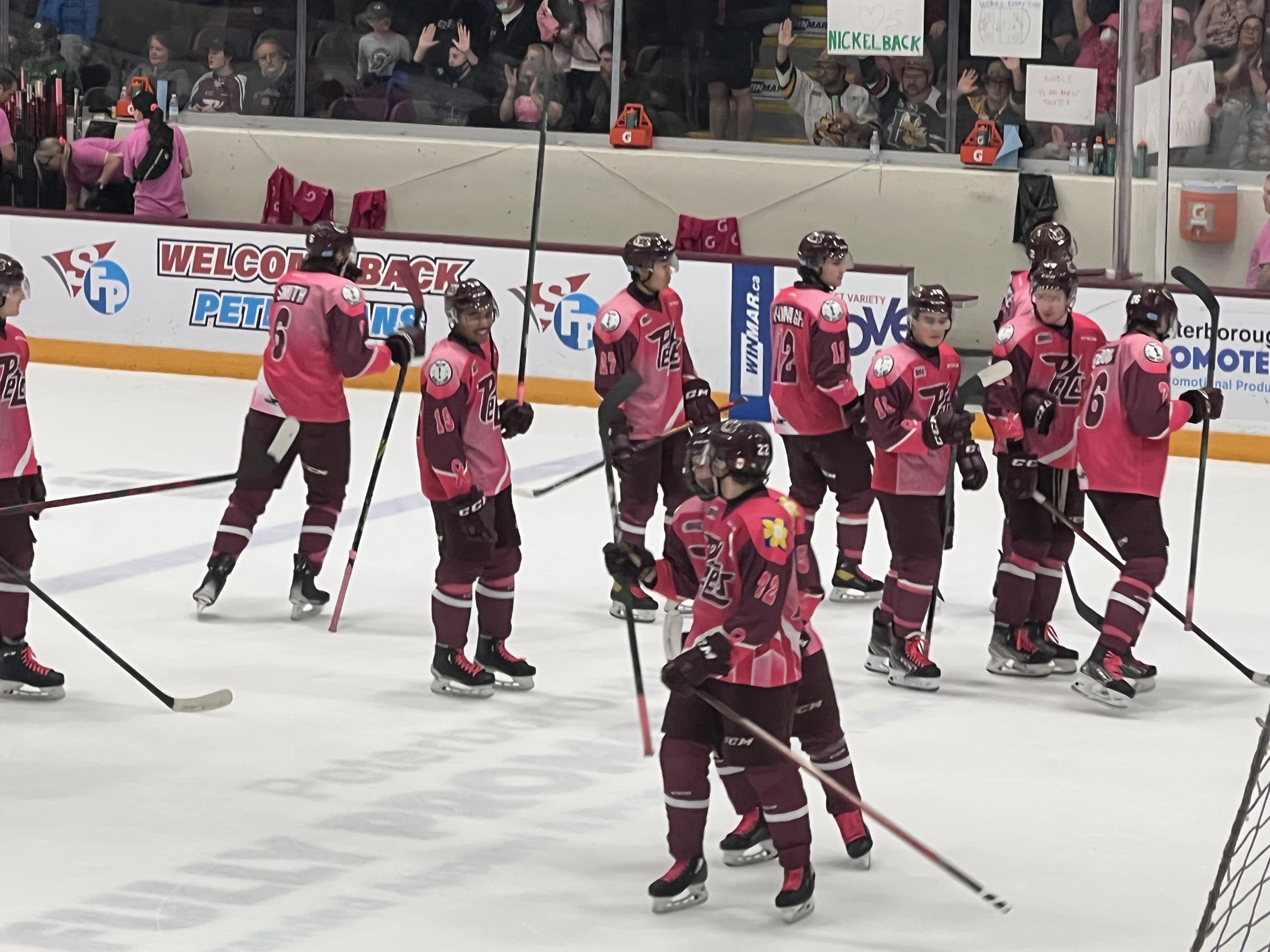 Panthers 'Pink in the Rink' game seeks to score goal against breast cancer