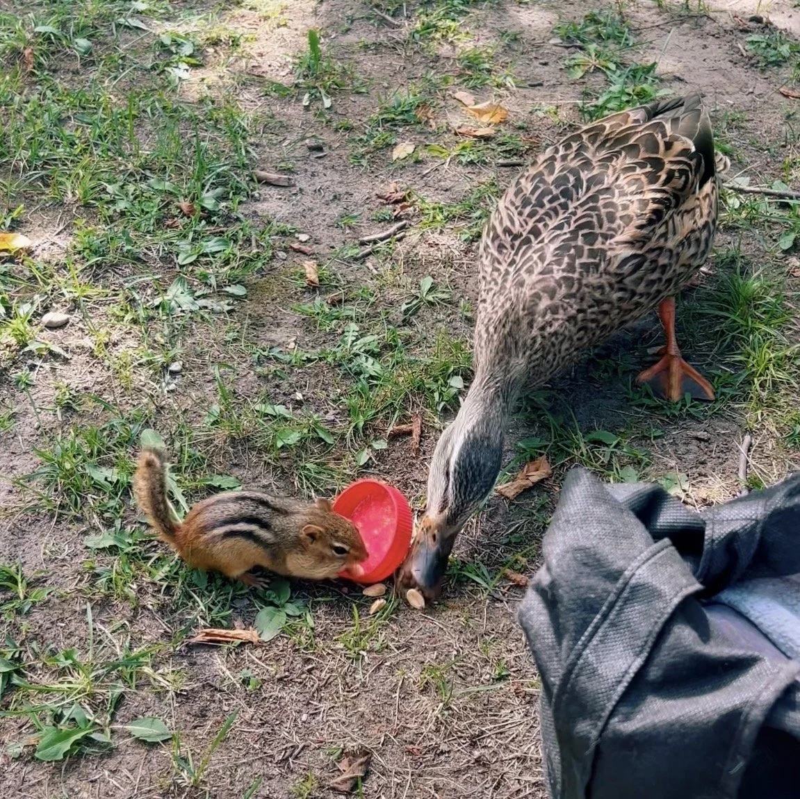 proof that food can bring anyone together