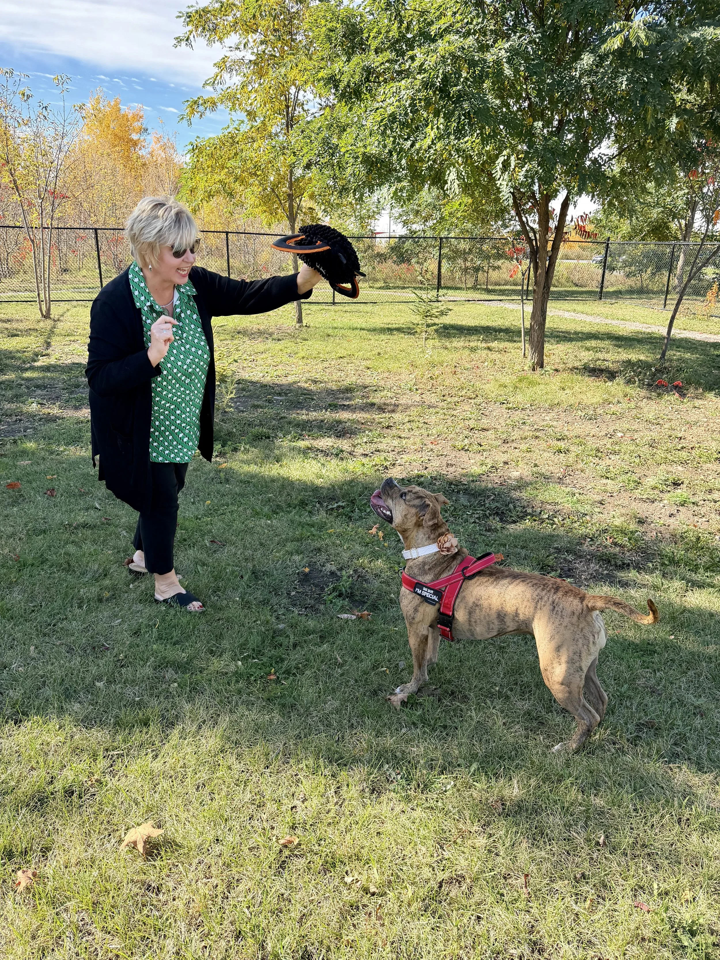 One lucky winner could take home a $5,000 travel voucher through the Peterborough Humane Society’s 50/50 Lottery, thanks to a local travel business owner whose support is rooted in a love of animals.