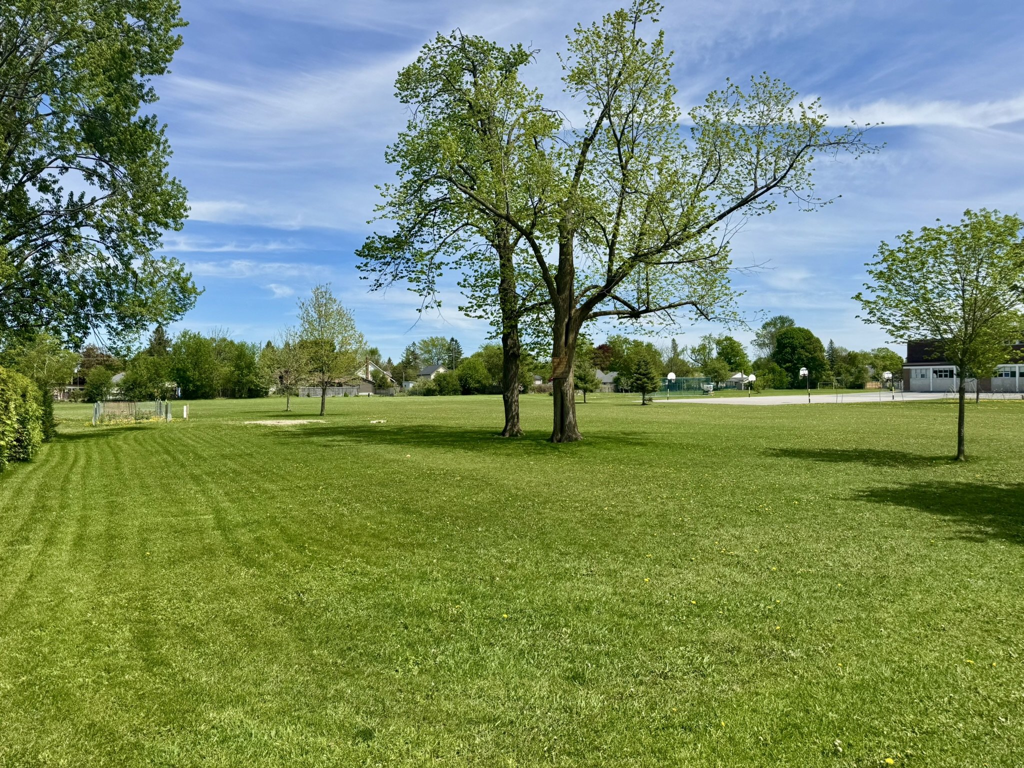 City of Peterborough Seeking Public Input Rejuvenation of Three ...