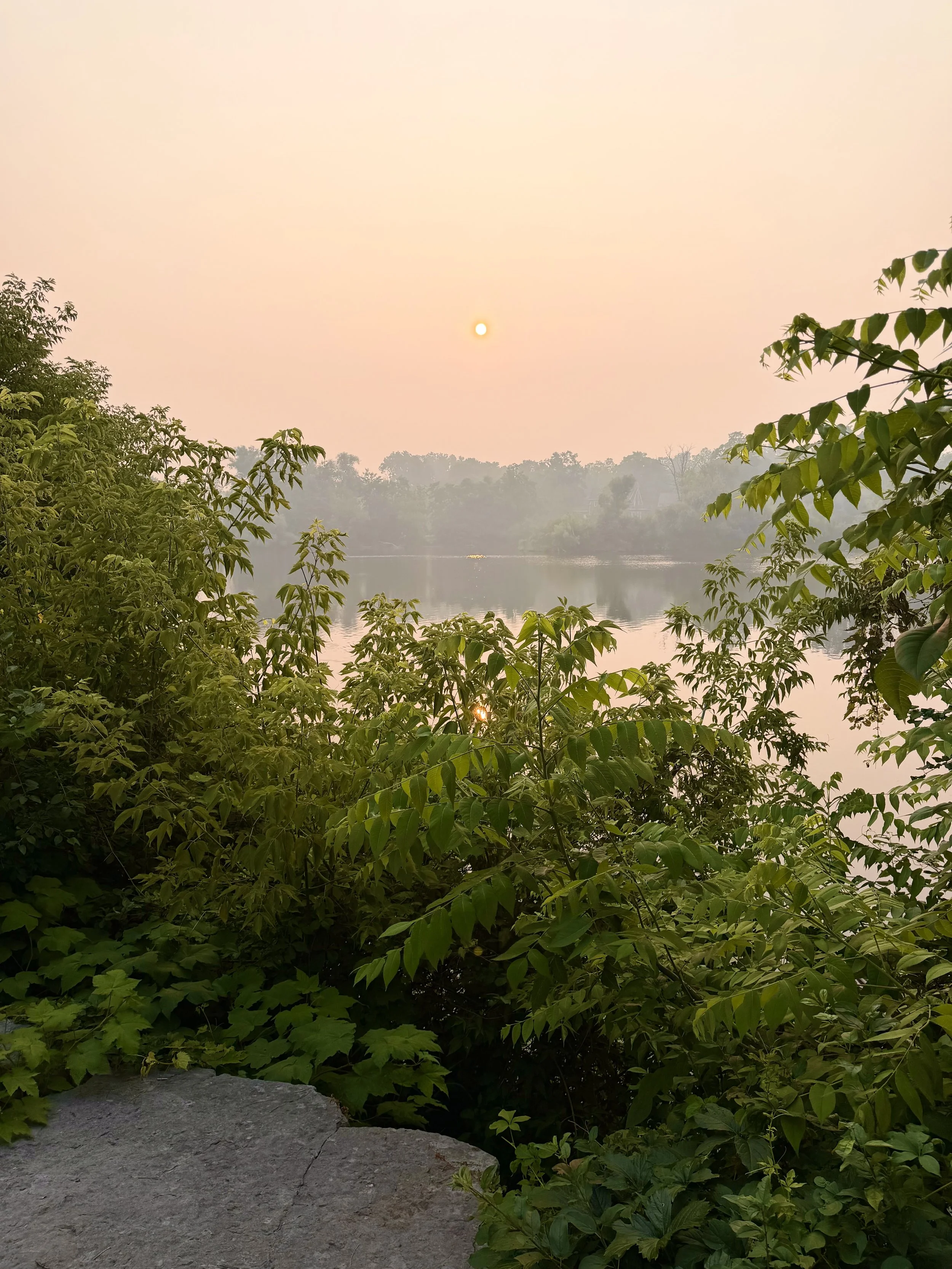 Outdoor sports, activities and events may need to be postponed or rescheduled while air quality remains poor.