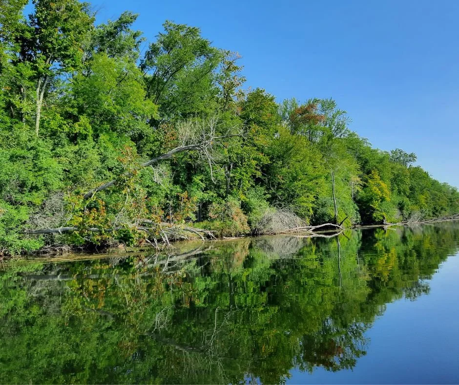 Kawartha Land Trust to Receive 1.7 Million from Environment and