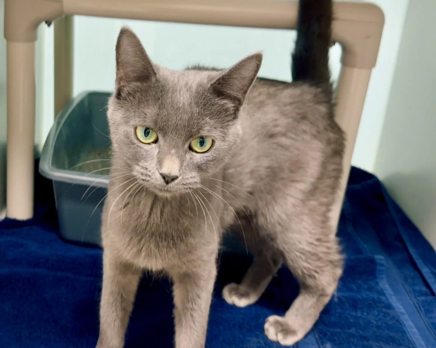 The Peterborough Humane Society’s second Early Bird draw takes place Friday, October 23rd, with one winner taking home $2,000 and every ticket helping support animals and veterinary services in the community.