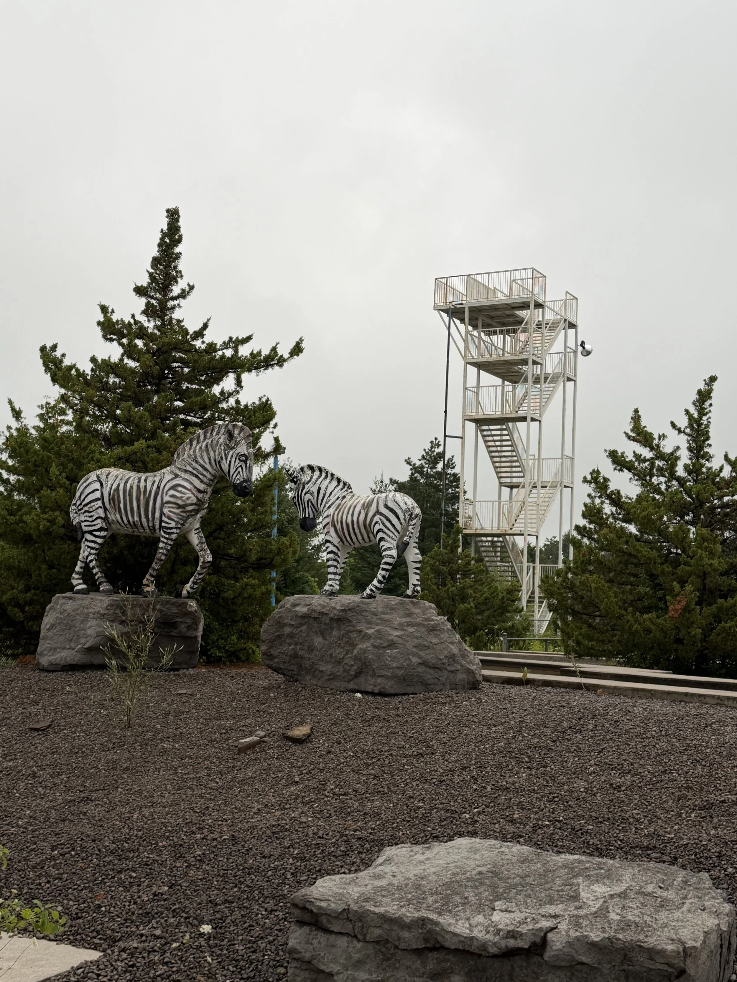 The former Wild Water & Wheels water slides can still be seen towering over the property nearly eight years after the attraction closed. (Photo by Scott Arnold)