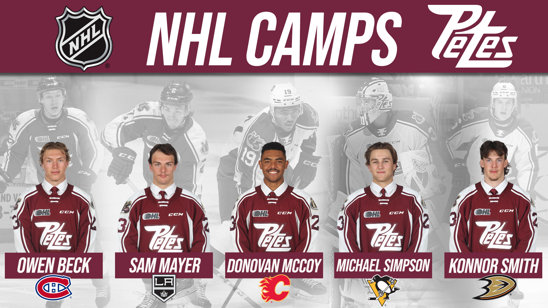 Five Peterborough Petes To Participate In NHL Training Camps โ PtboCanada Five Peterborough Petes To Participate In NHL Training Camps โ PtboCanada