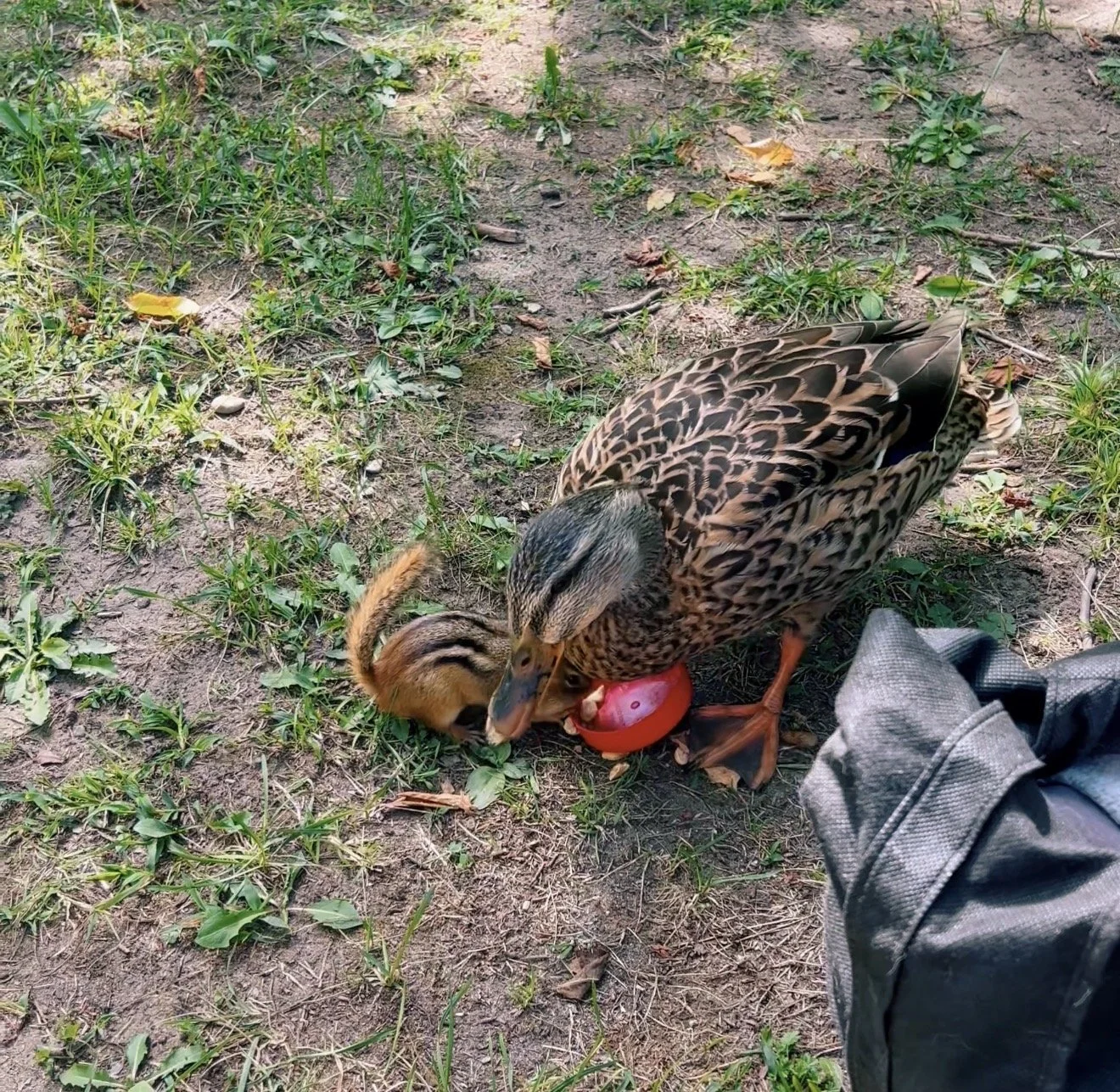 sharing is caring
