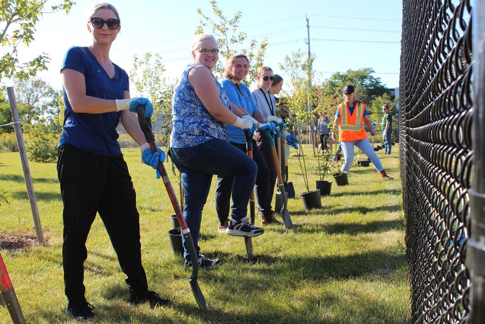 National Tree Day Sees Otonabee Conservation Plant 125 Trees and Shrubs ...