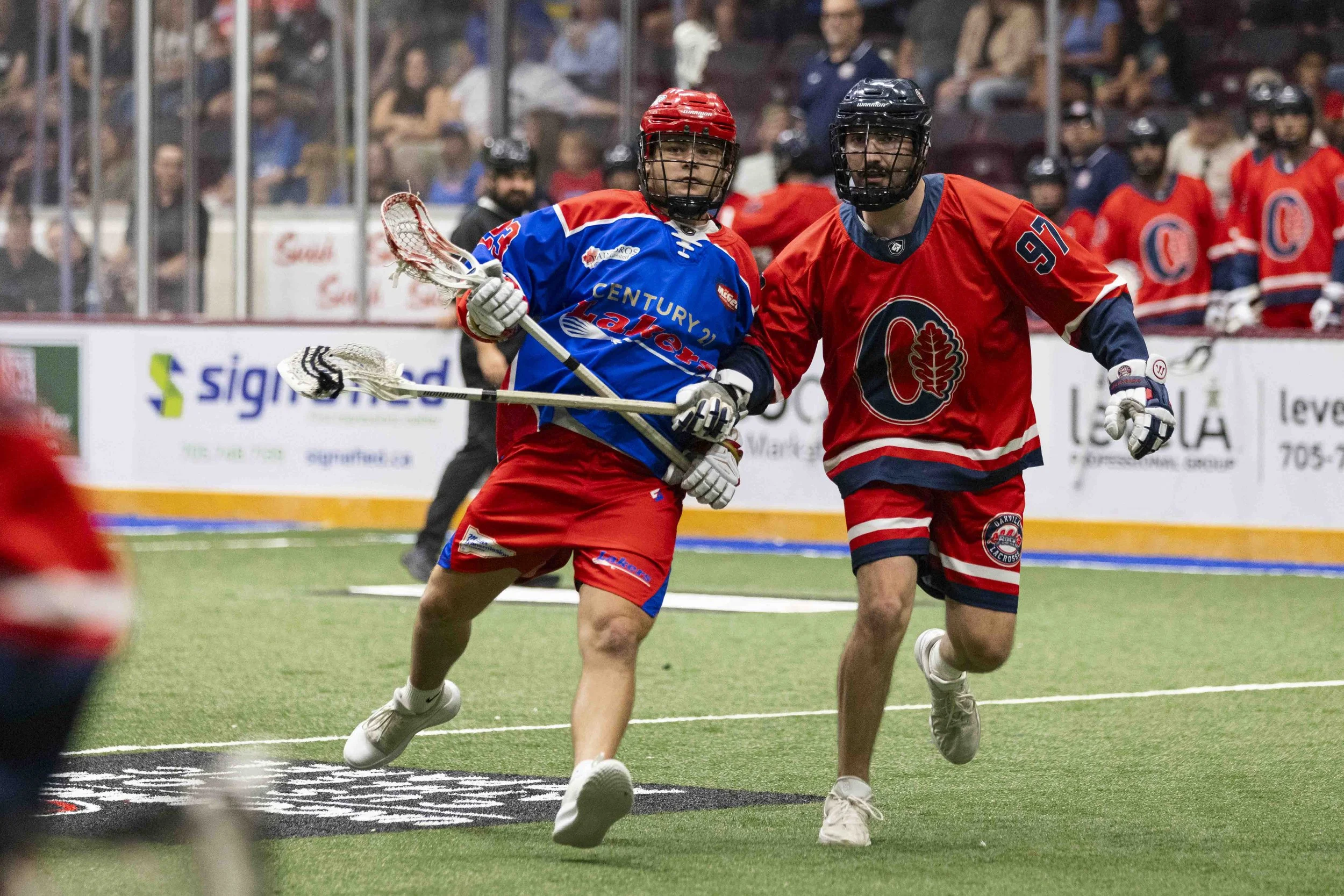 The Peterborough Century 21 Lakers are playoff bound, with dates now set for their best-of-five first-round Major Series Lacrosse series against the Oakville Rock.