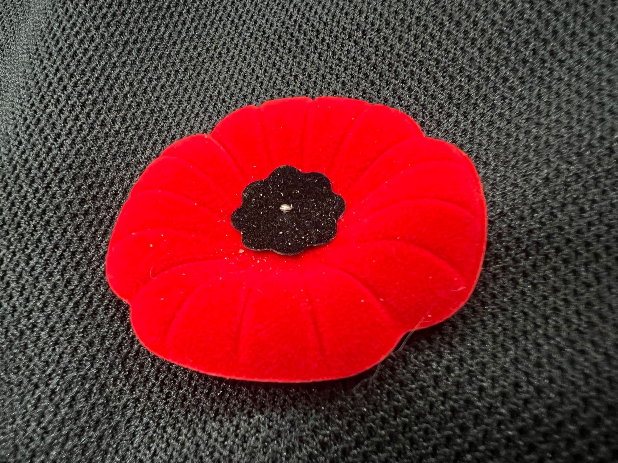 The Royal Canadian Legion launches 2021 National Poppy Campaign