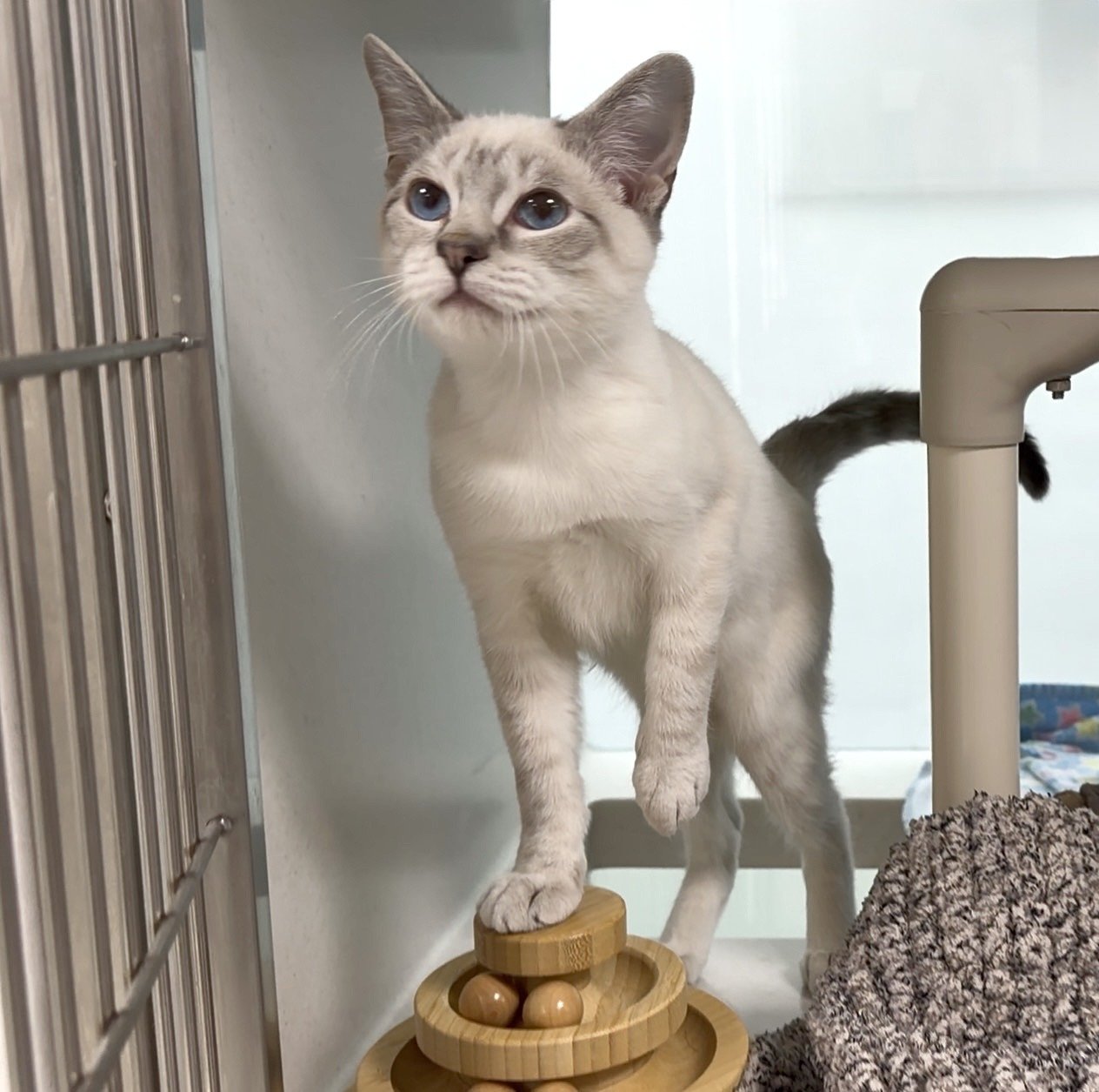 The jackpot is exciting, but every ticket purchased is also helping provide food, medicine, care and a second chance to animals who need the Peterborough Humane Society most.