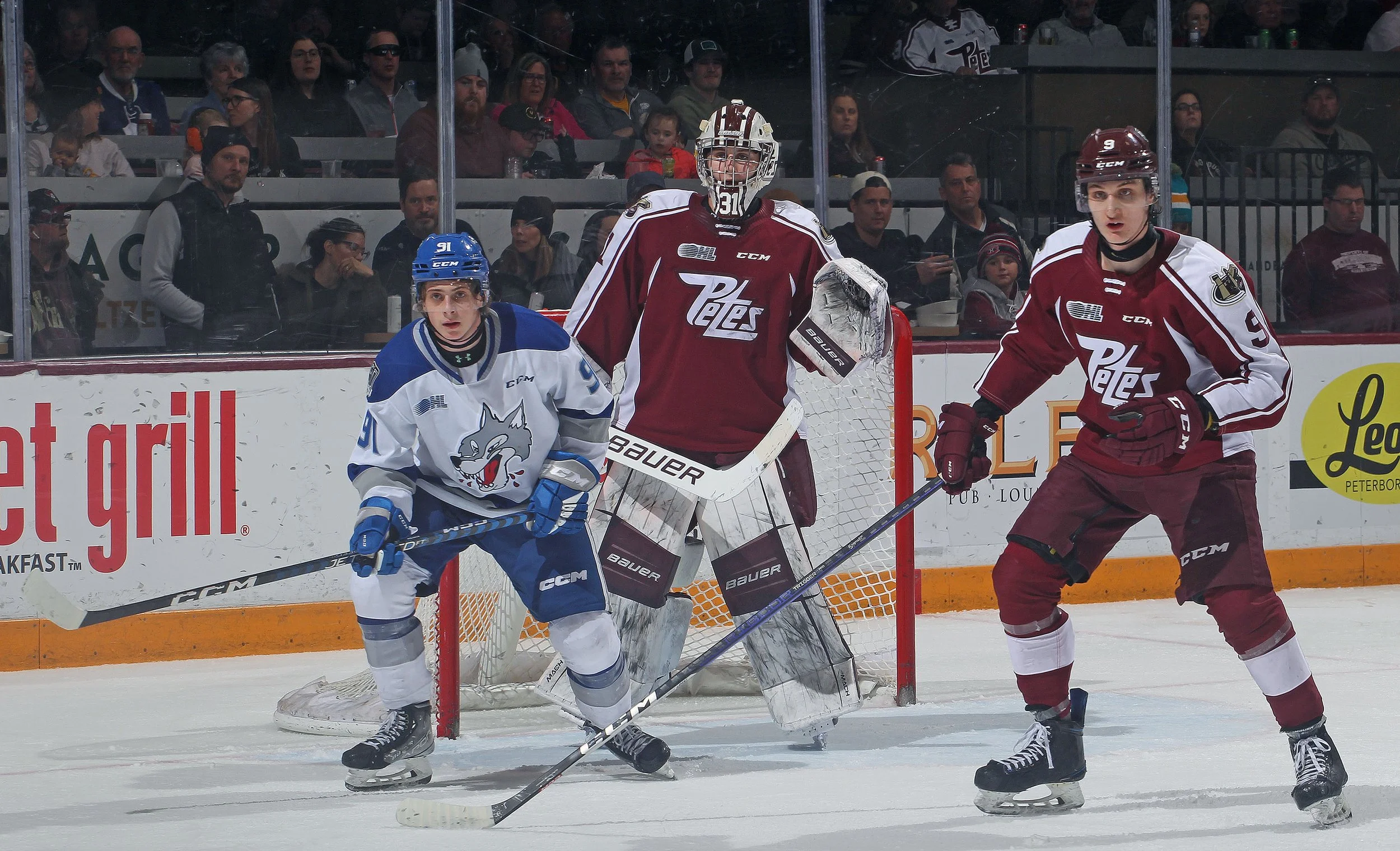Peterborough Petes Playoff Tickets On Sale As Team Prepares For Post