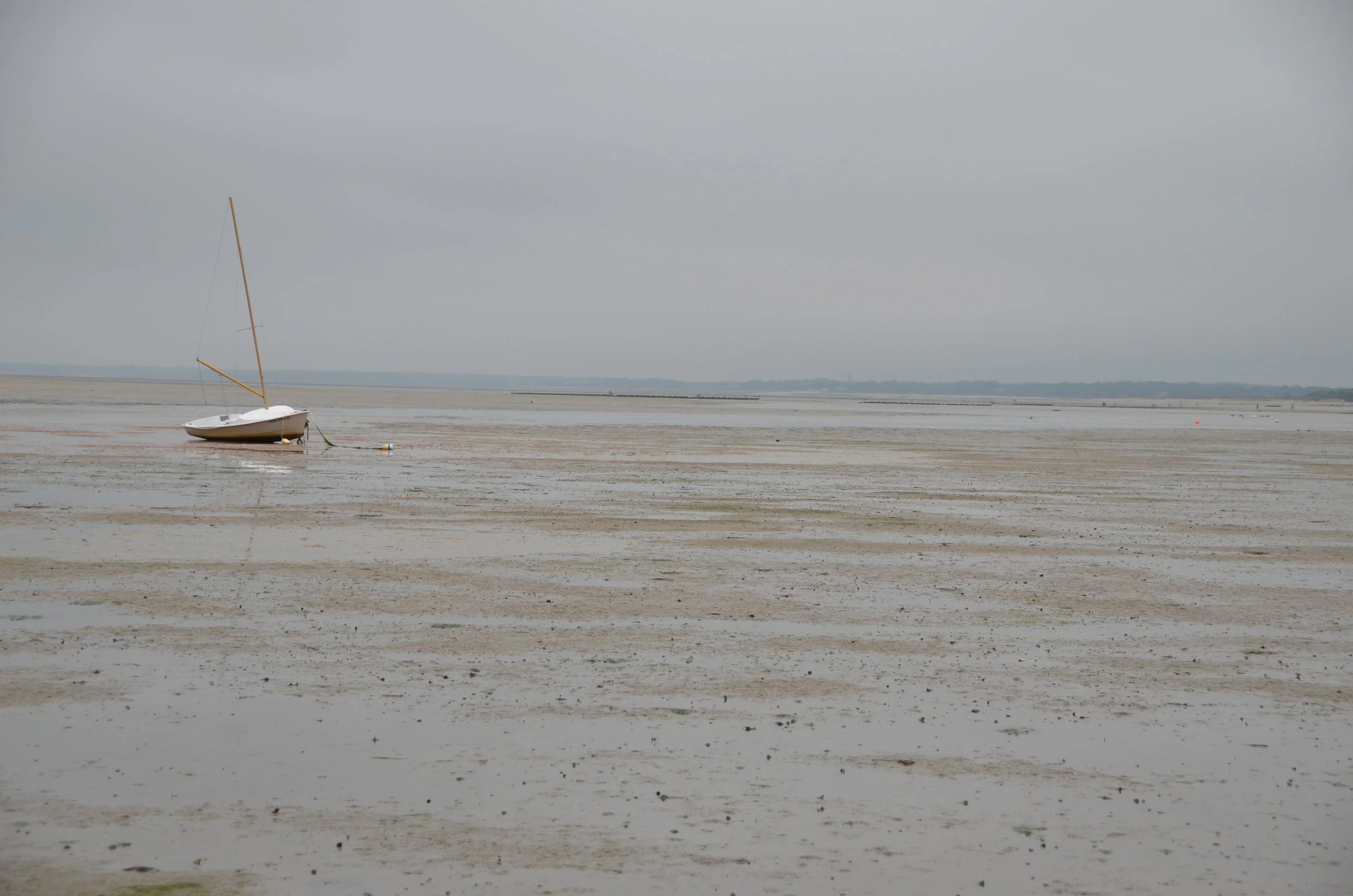 DSC_0038.JPG