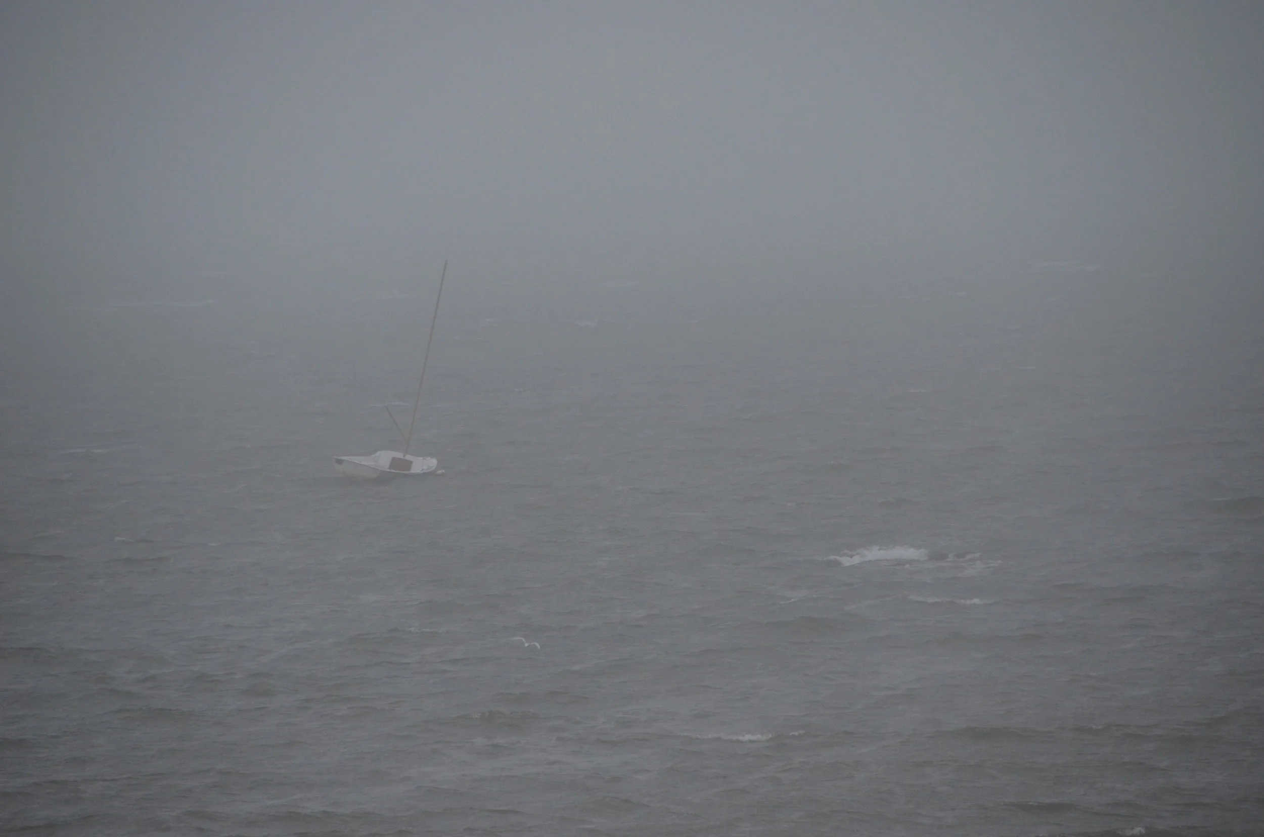 DSC_0120.JPG