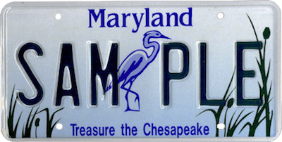 image2.jpeg