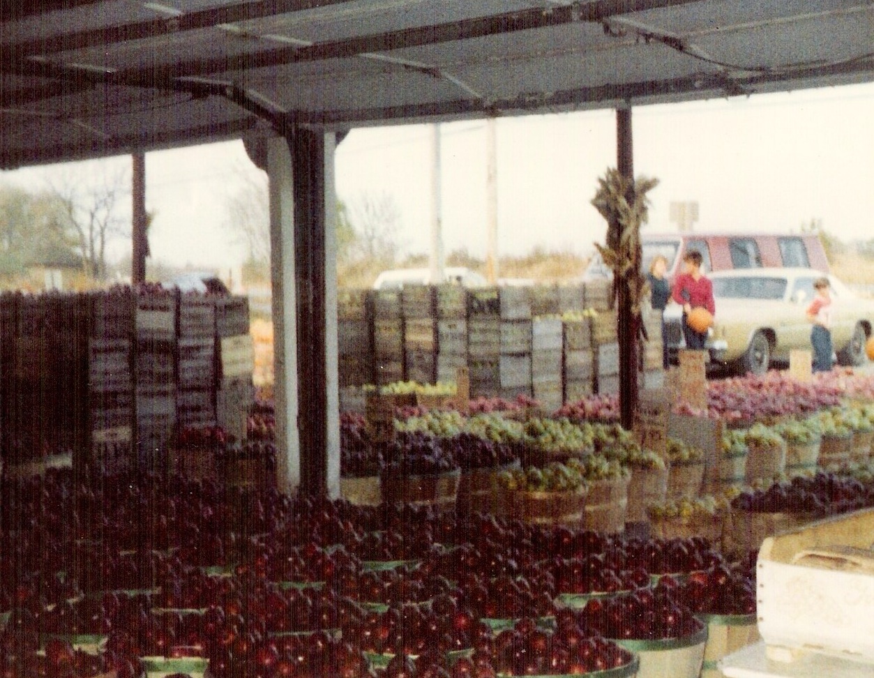 Apple Season at Bob's Farm Stand on Torrence, late 1970s