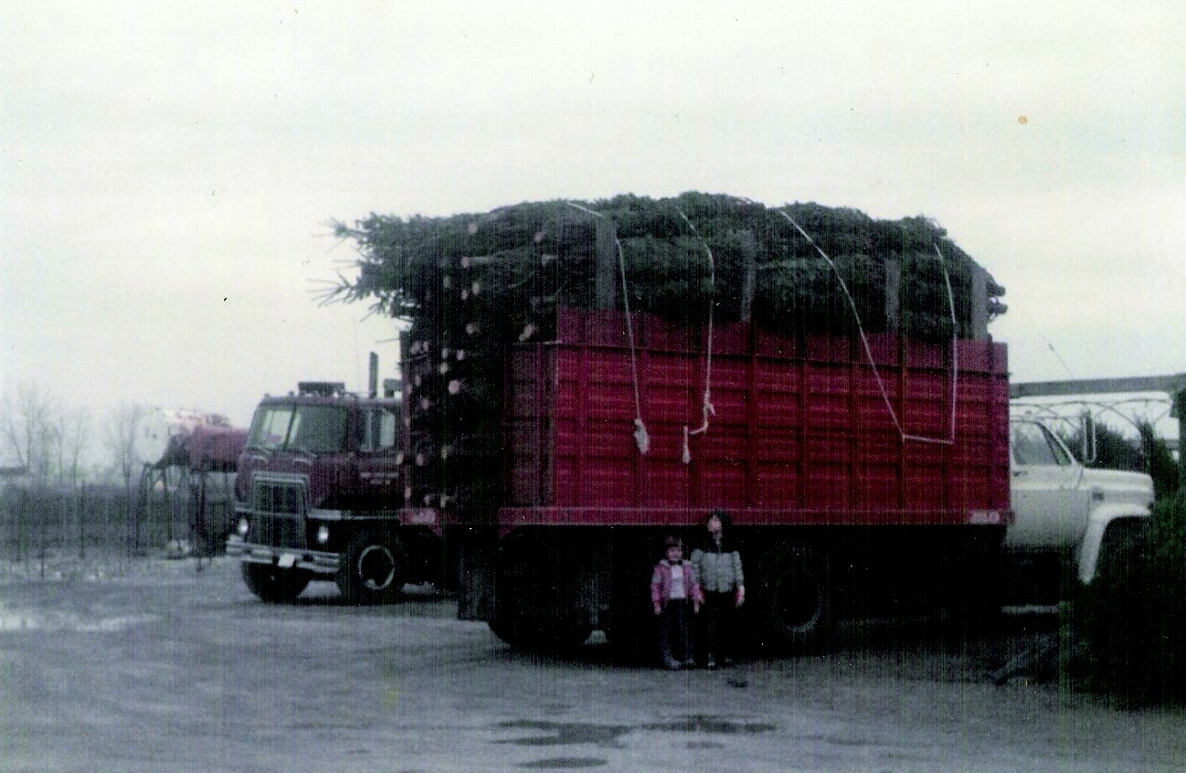 Ready for Christmas tree sales in the mid '80s