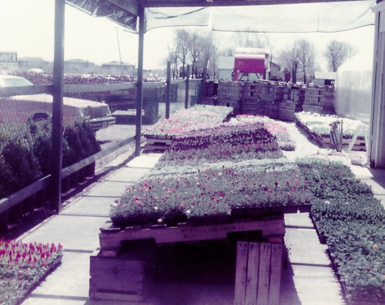Flowers at Bob's Farm Stand on Torrence