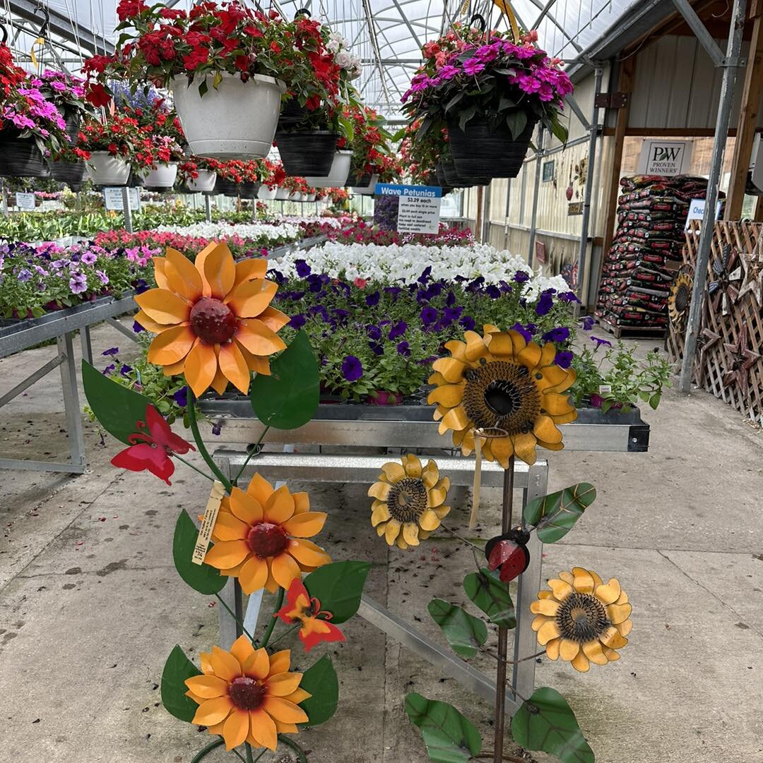 Starting today, save 15% on all plants and Mexican garden art/pottery! We still have a nice variety of plants, but they won&rsquo;t last forever. We&rsquo;re now open 8 am-6 pm, Monday-Saturday.
