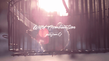 Dove Music Video