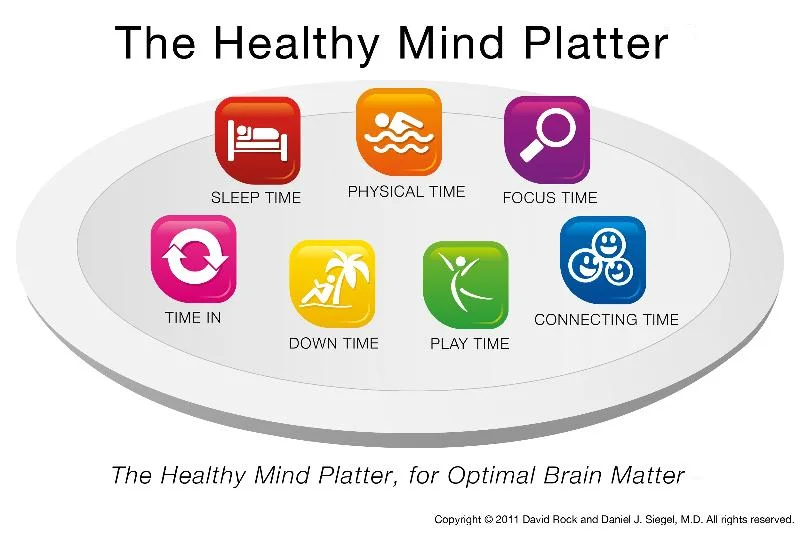 HealthyMindPlatter.jpg