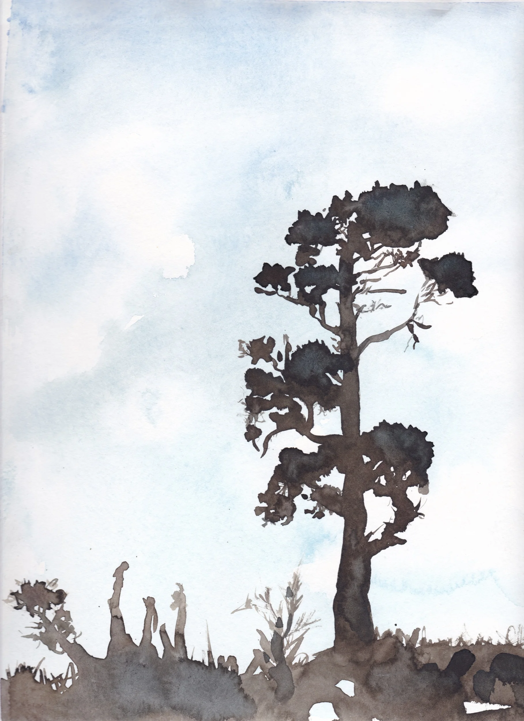 tree 2.jpg
