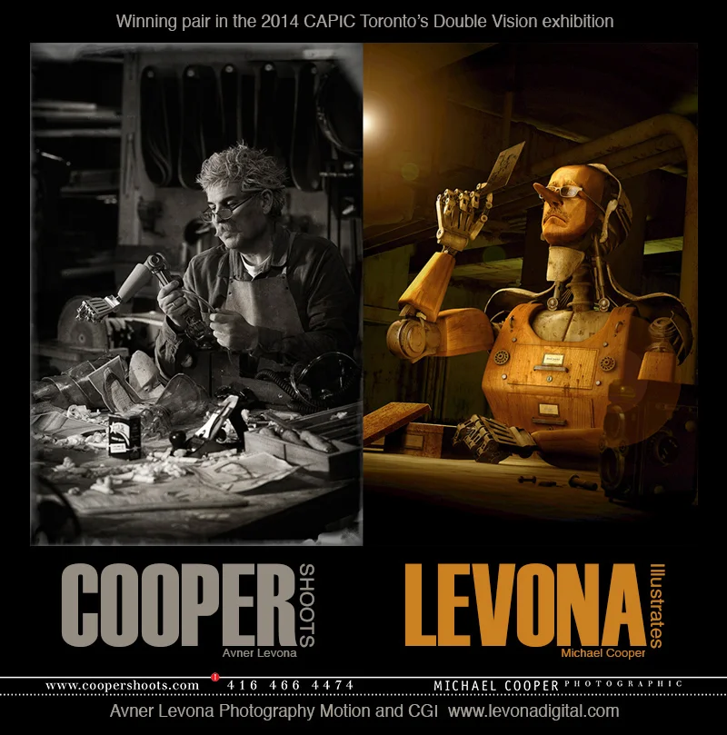 2014 Double Vision winning entry.jpg