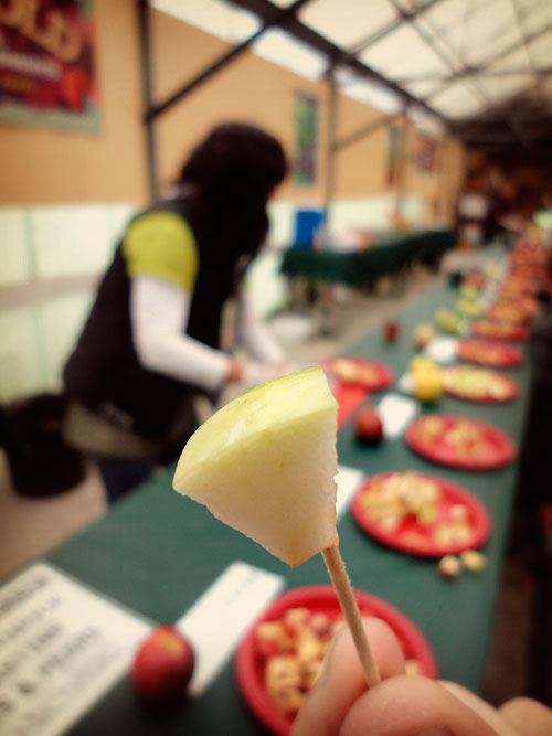 apples08.jpg