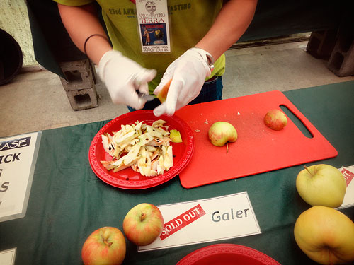 apples07.jpg