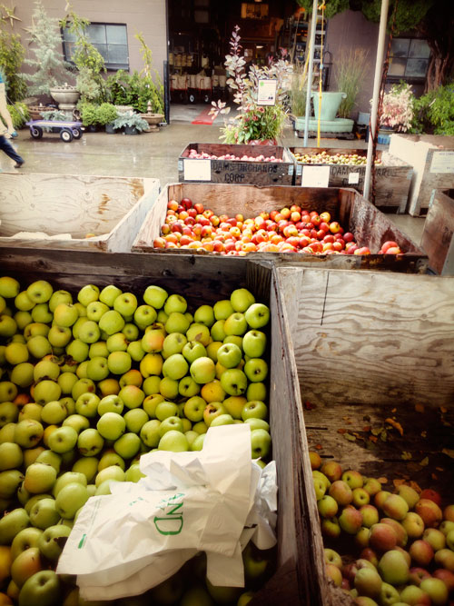 apples19.jpg