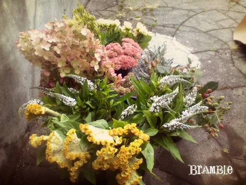 groupofflowers.jpg