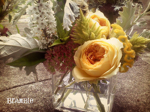 squarerosedetail.jpg