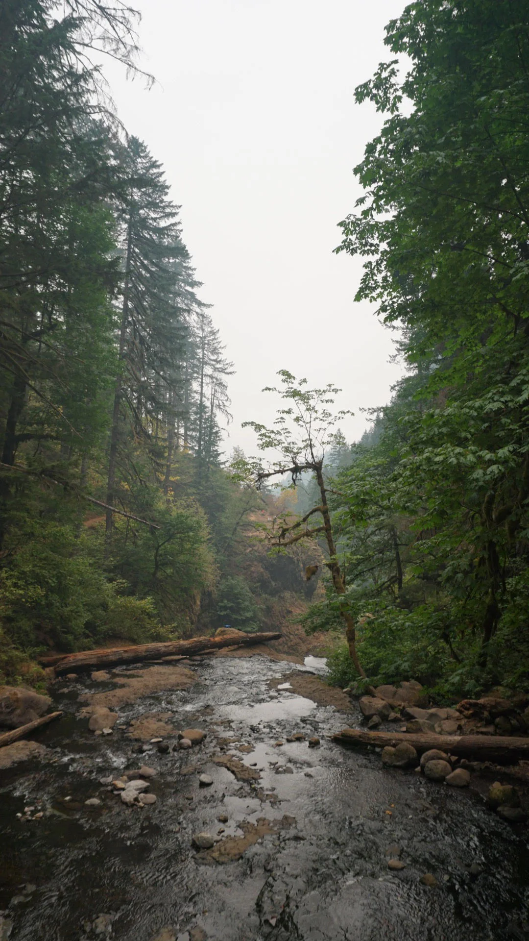 Nature Bathing