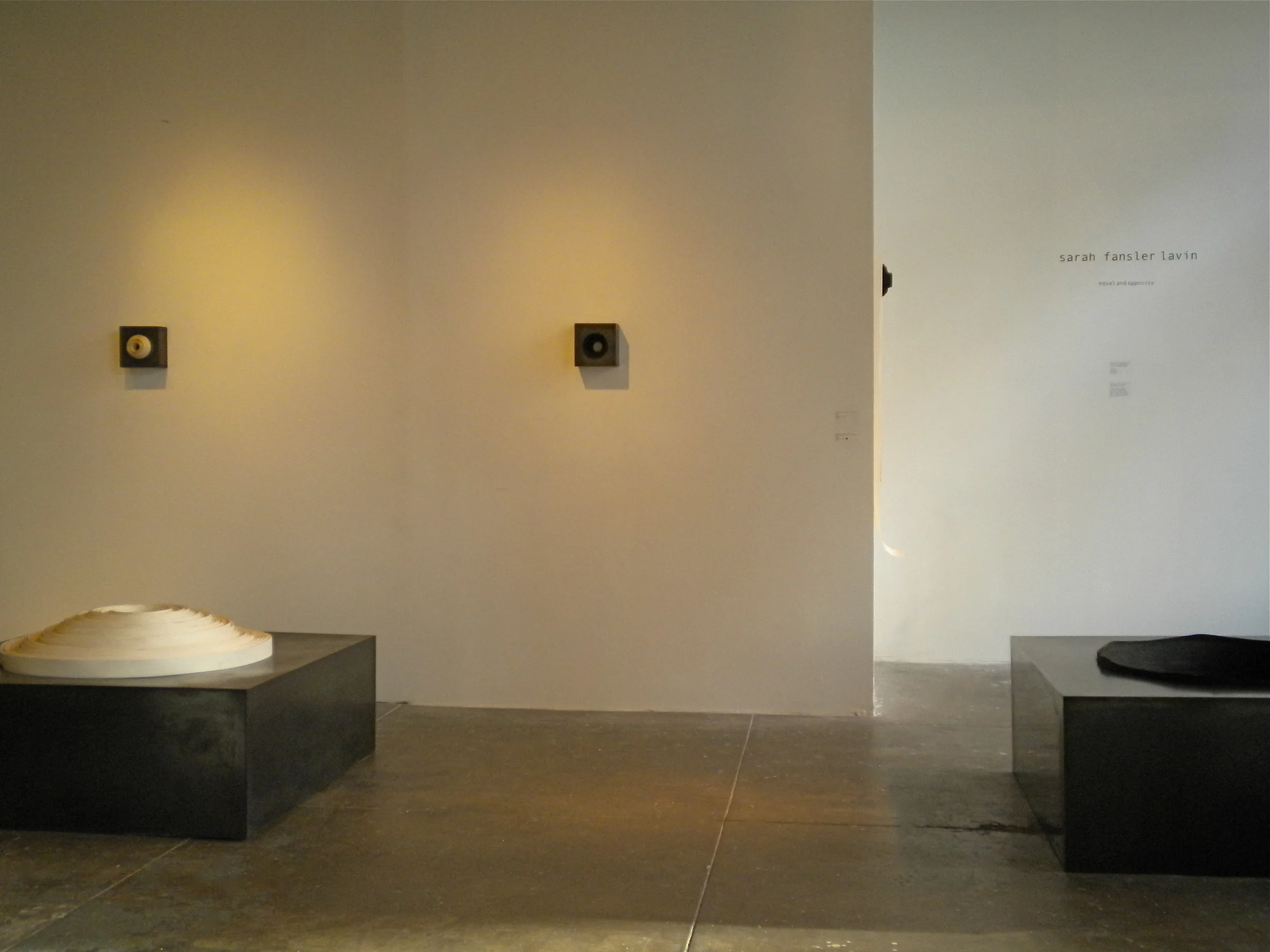  installation view.&nbsp; Micro on walls.  