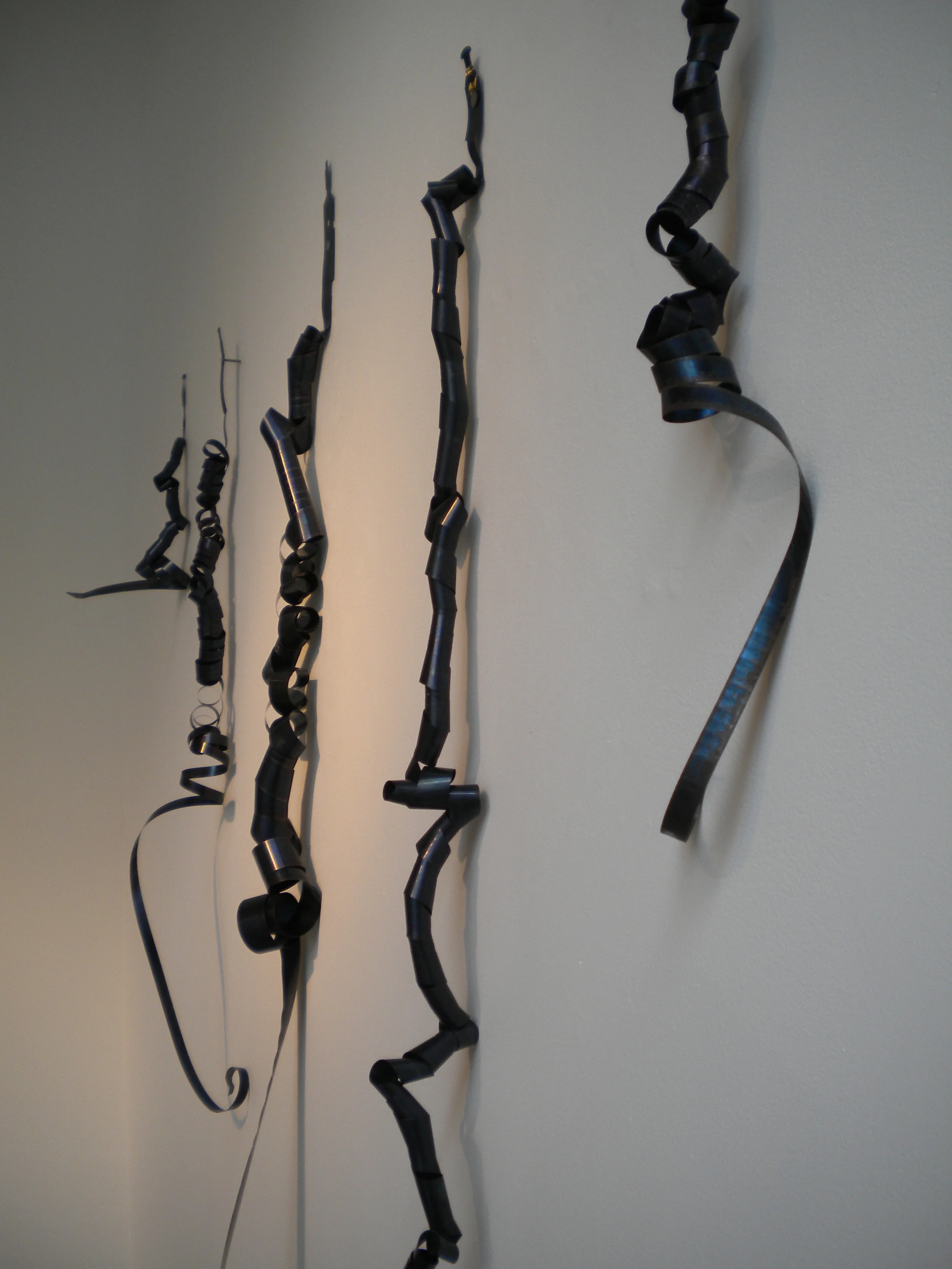   Measuring Distance.  5 spring steel coils from spent retractable tape measures. Personal Collection. Saved over a 5 year period. 