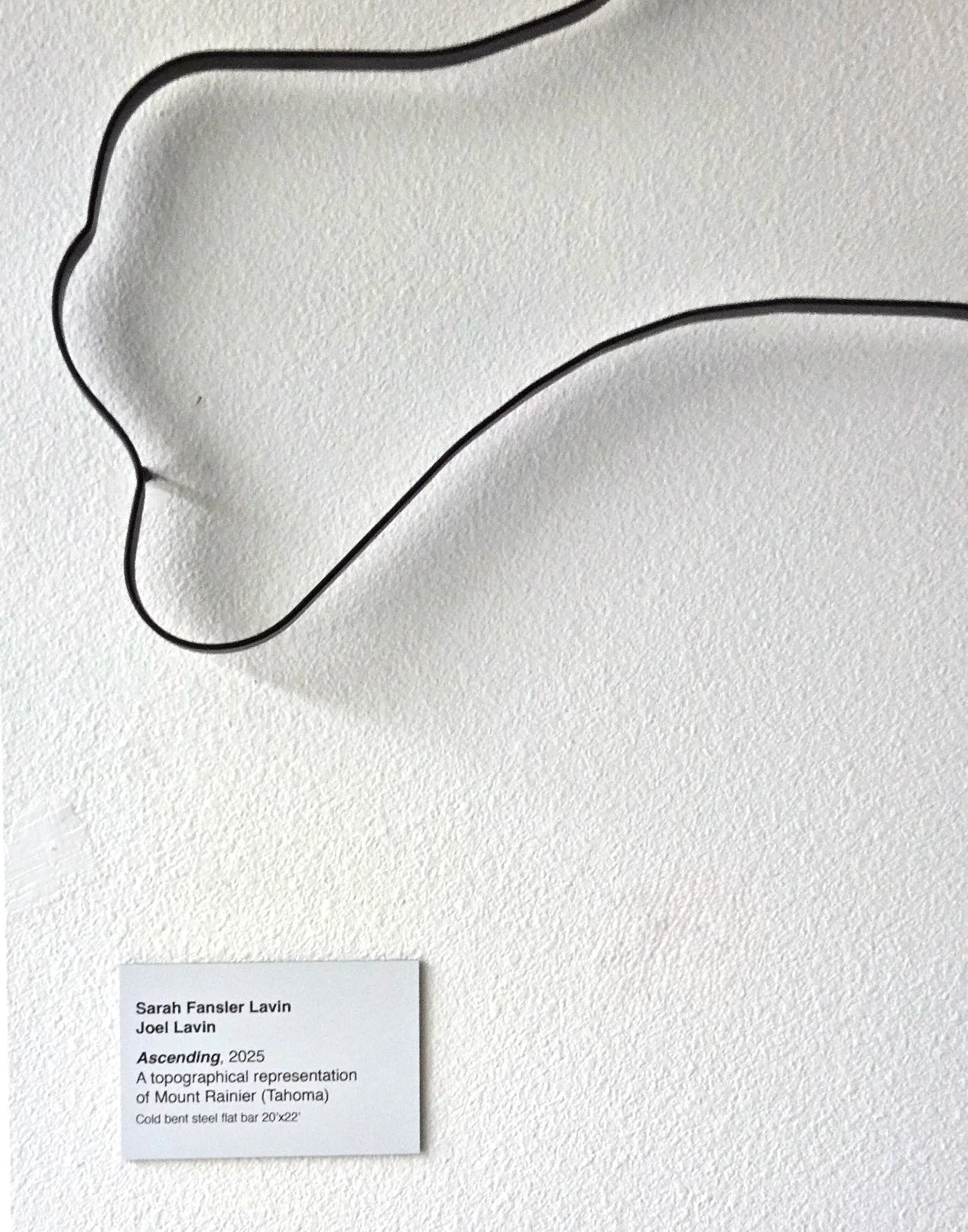 Mt rainer desc ohoto.jpeg